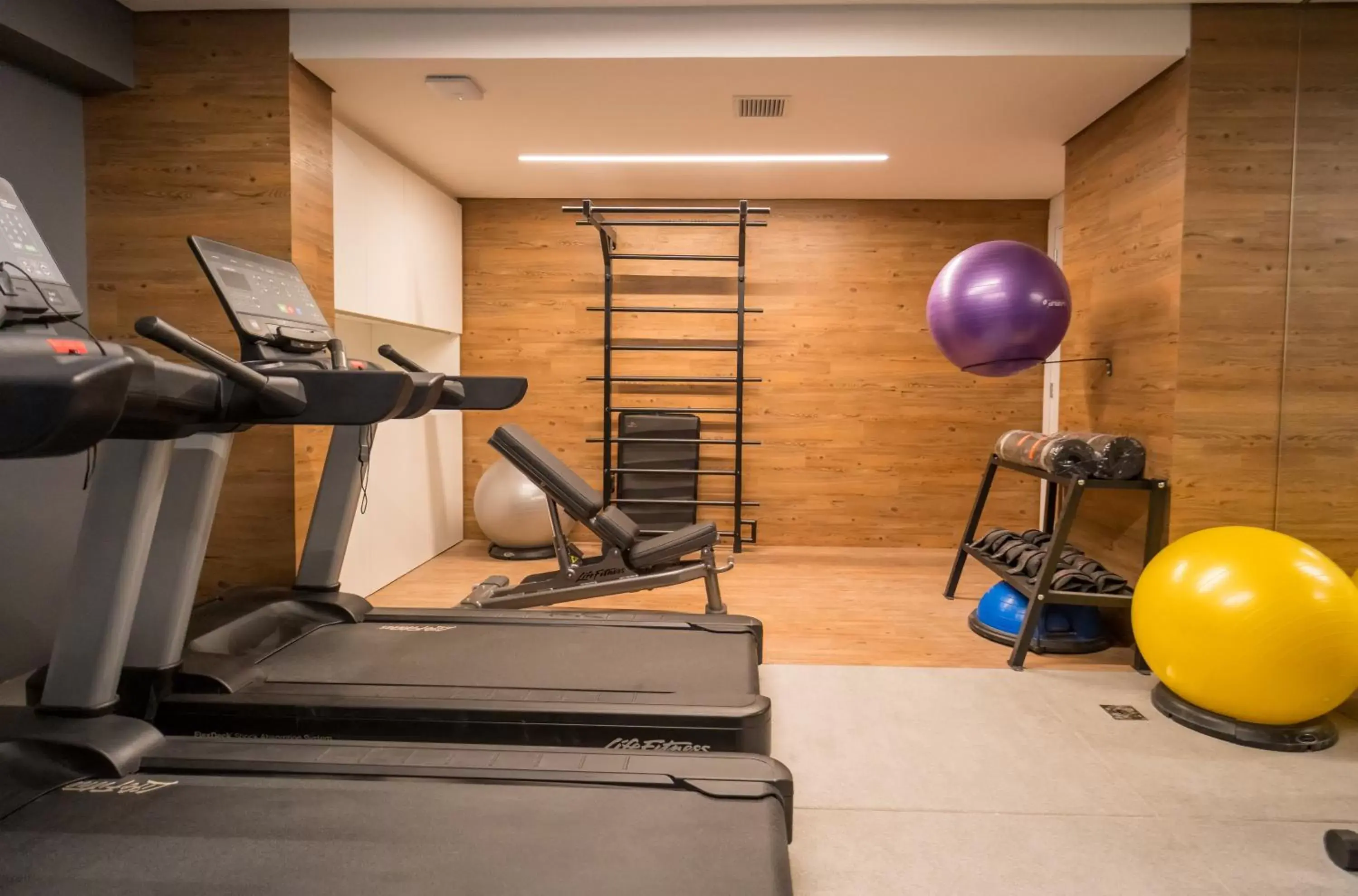 Fitness centre/facilities, Fitness Center/Facilities in Park Plaza Moinhos Porto Alegre