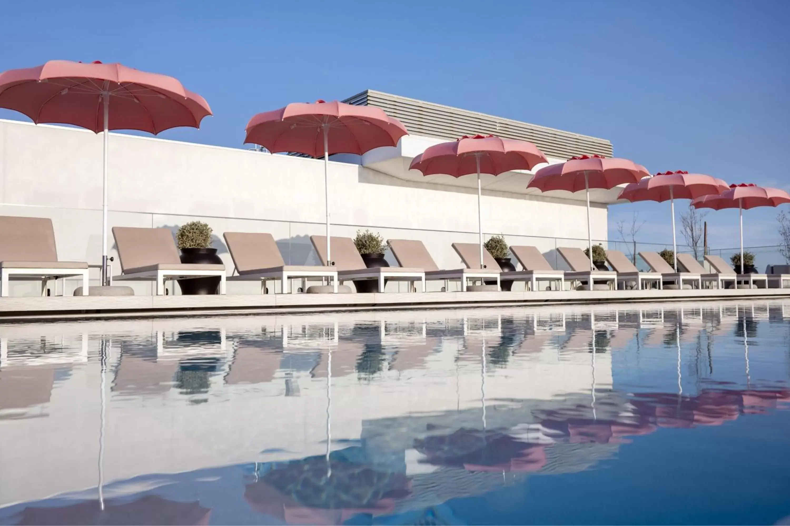 Swimming Pool in Renaissance Porto Lapa Hotel