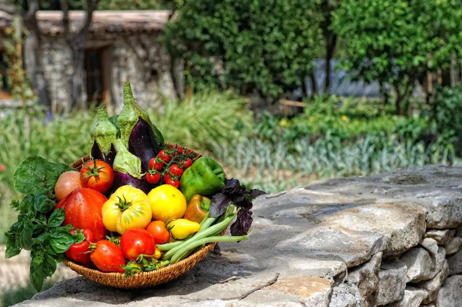 Garden in Lodge de Charme A Cheda