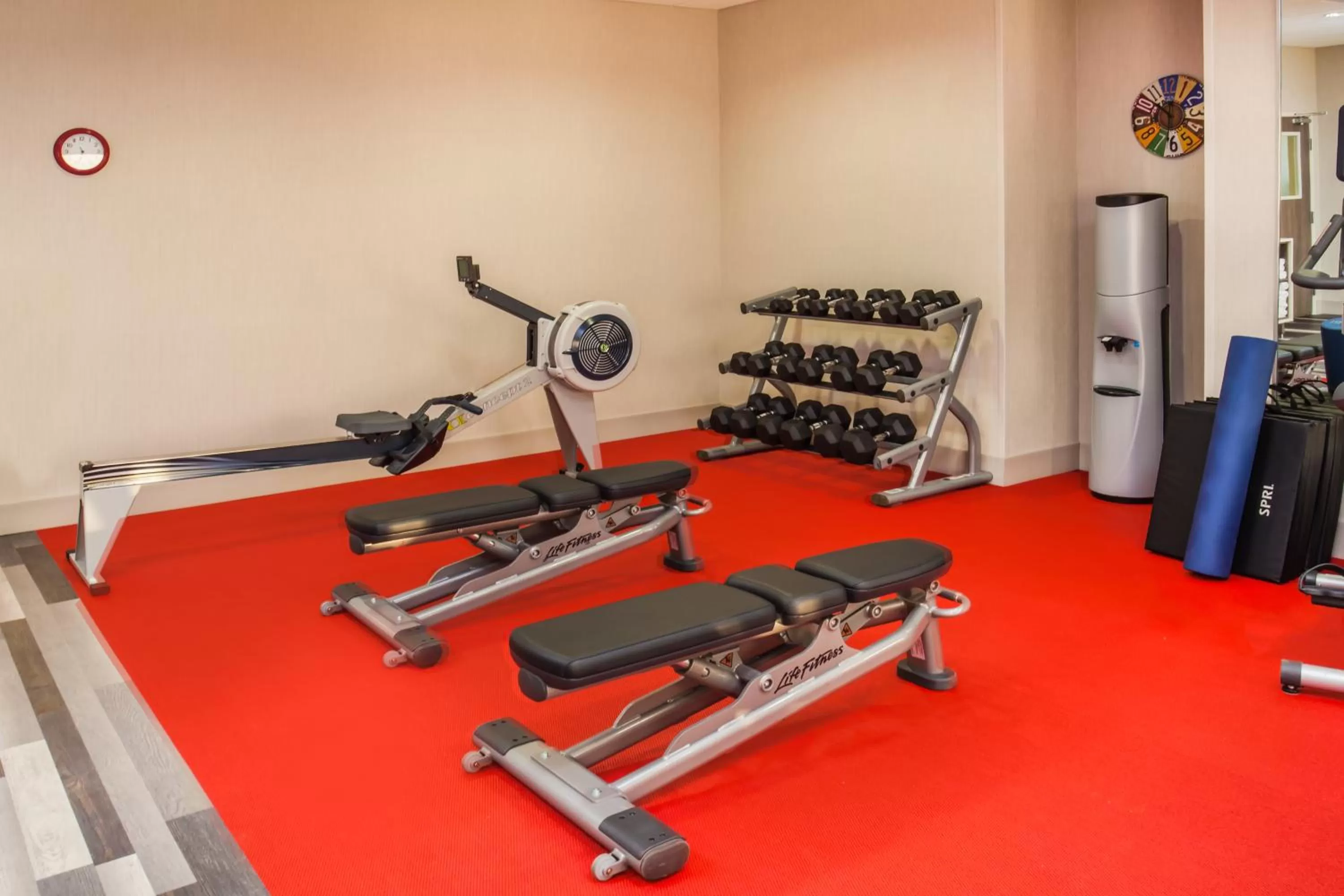 Fitness centre/facilities in Holiday Inn Express & Suites Litchfield by IHG