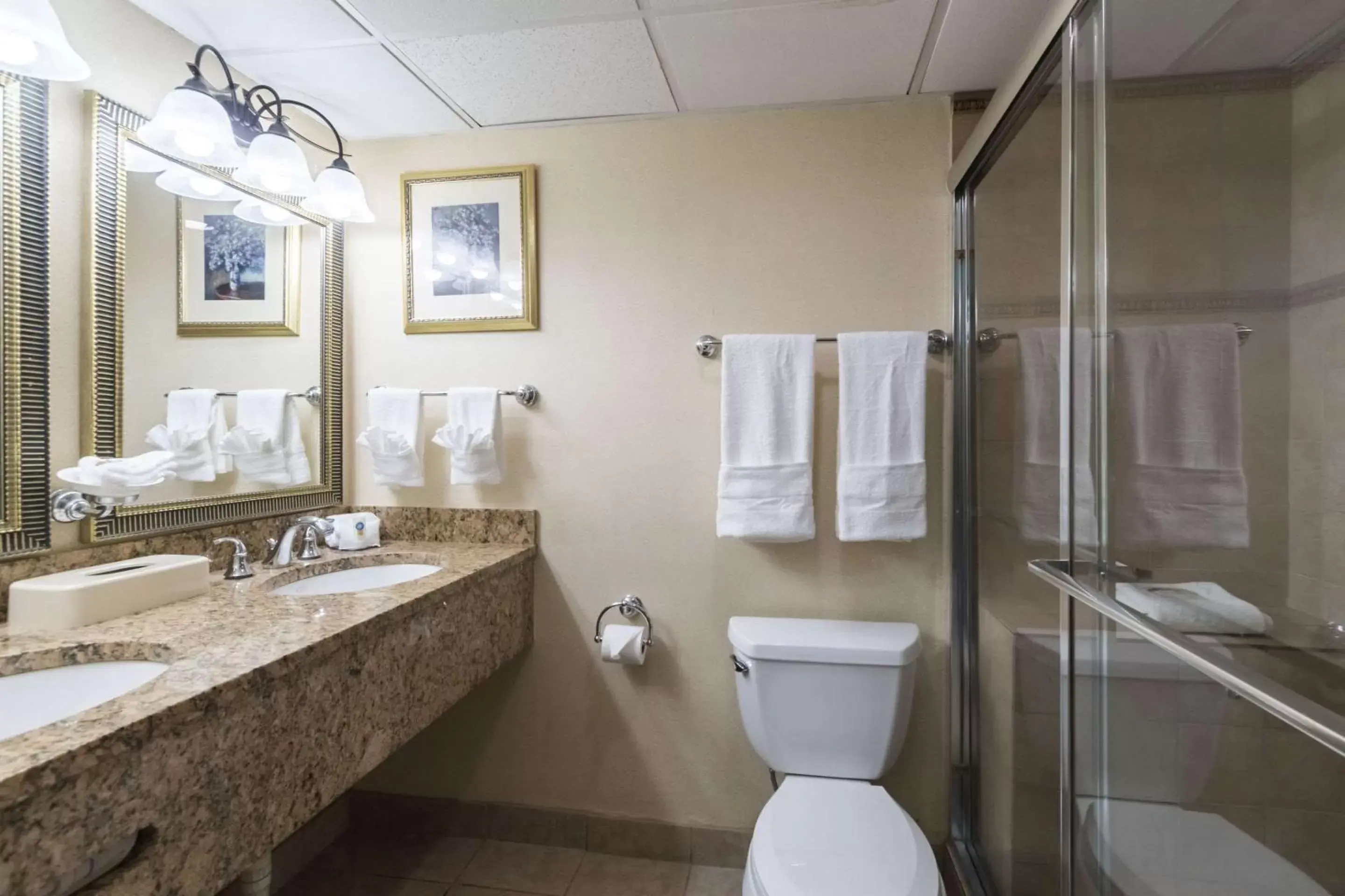 Bathroom in Quality Inn & Suites Conference Center West Chester