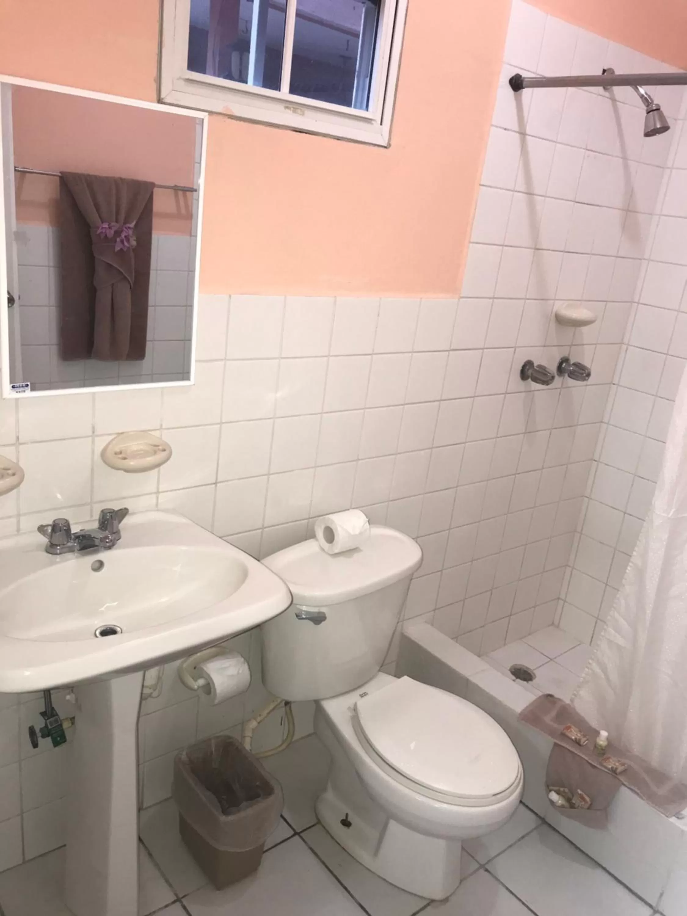 Shower in Tropical Paradise Express