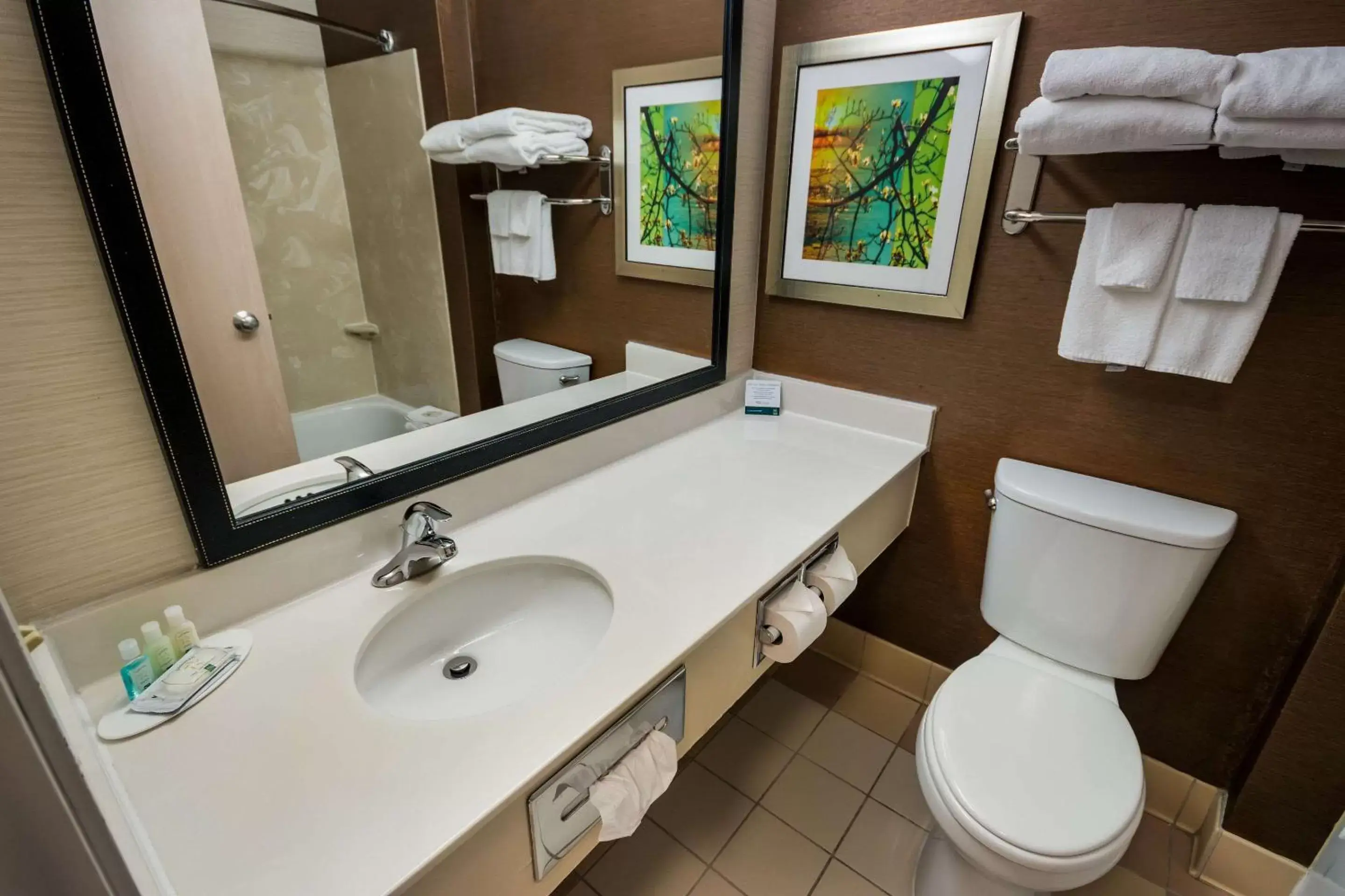 Bedroom, Bathroom in Quality Inn & Suites Bozeman