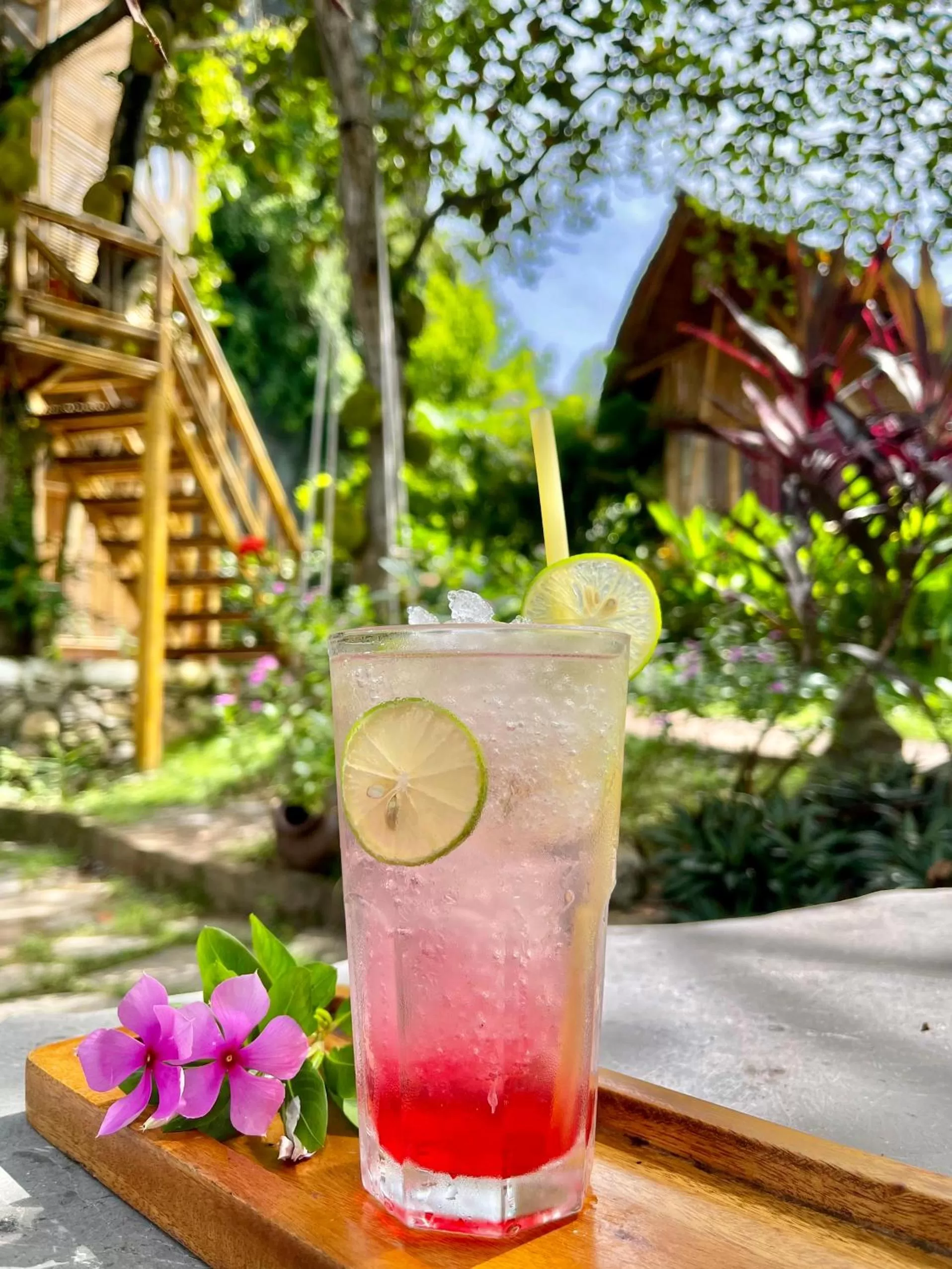 Drinks in Trang An Lamia Bungalow