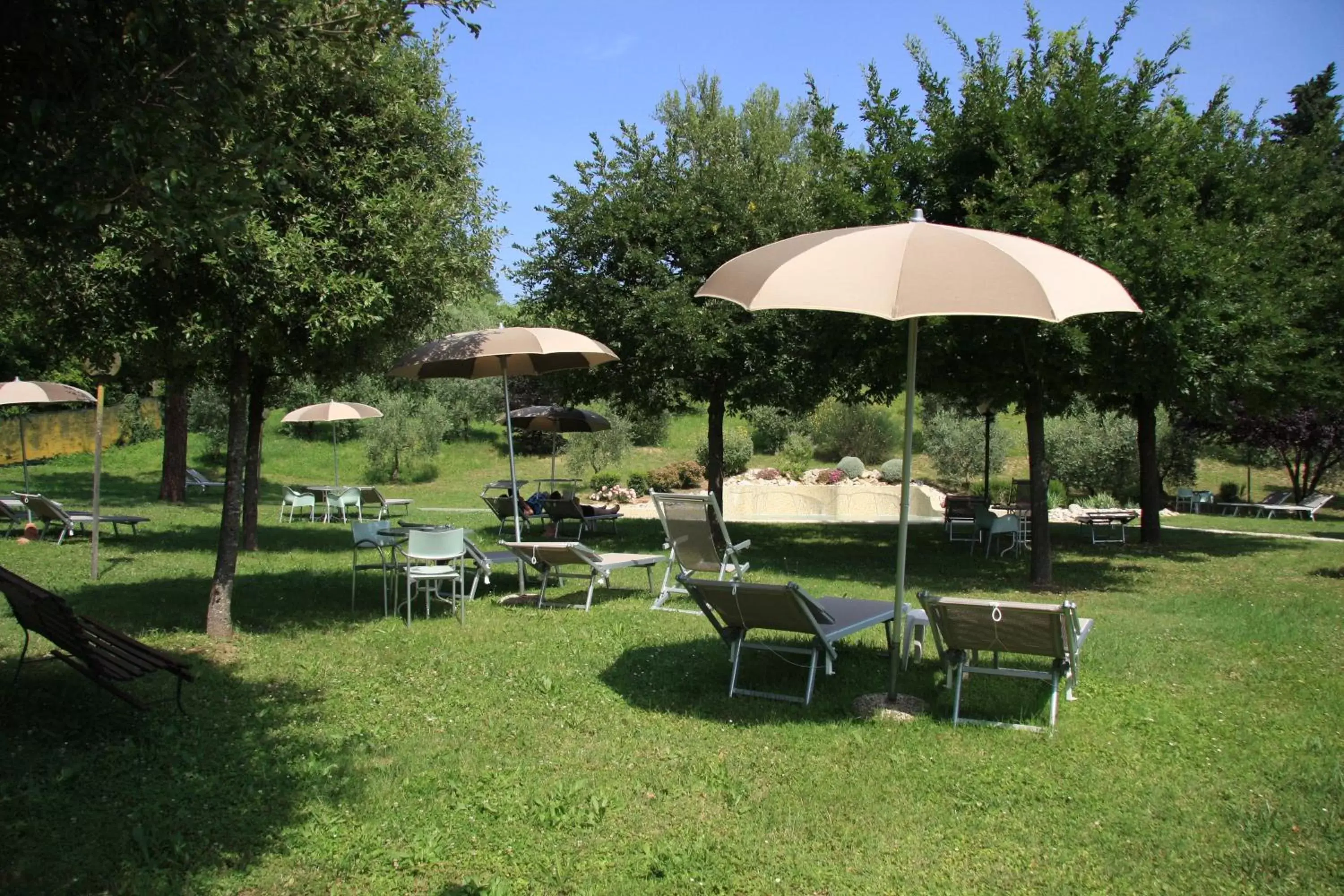 Garden view, Garden in Hotel Sovestro