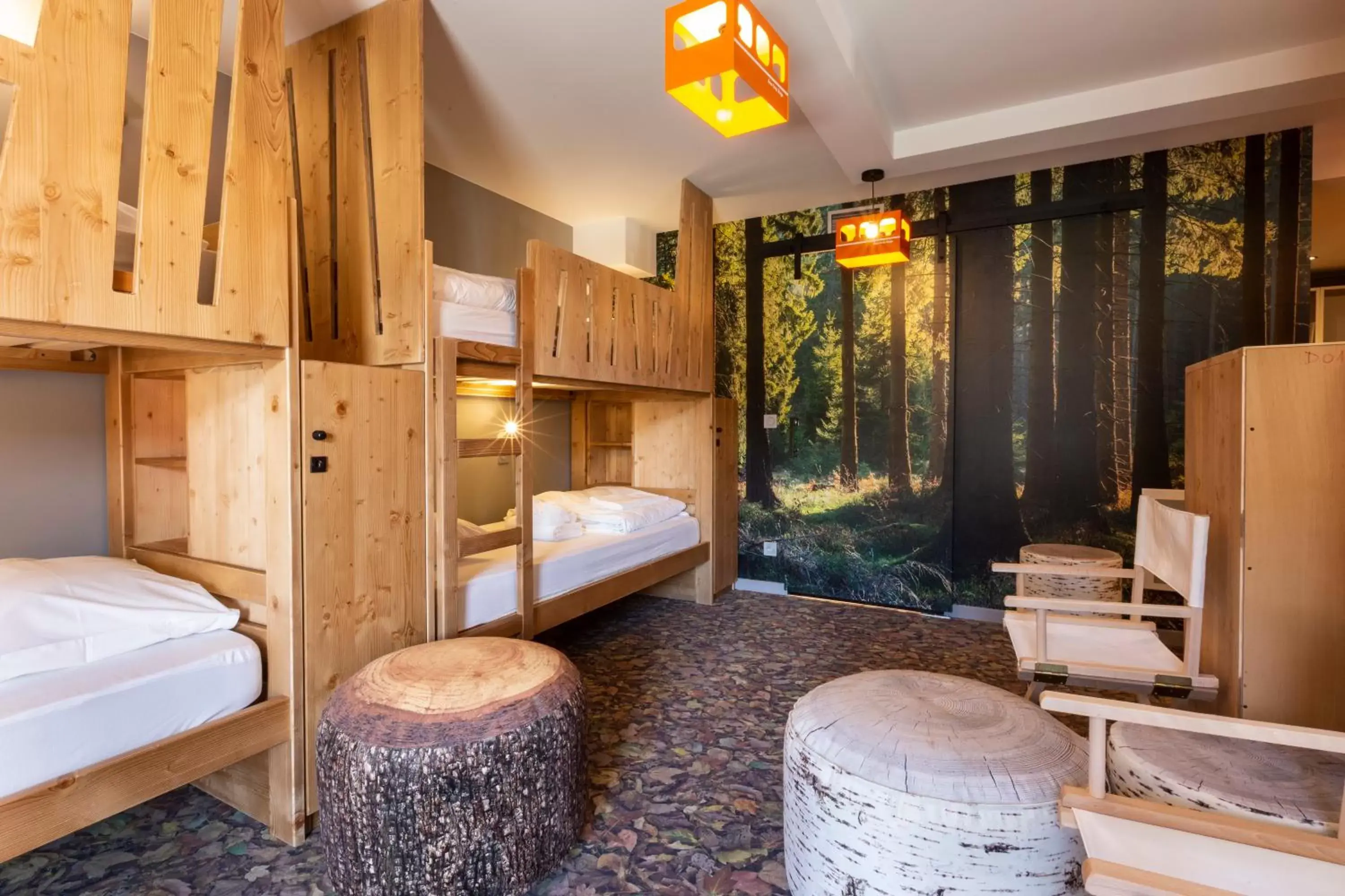 Bunk Bed in Hotel Base Camp Lodge - Bourg Saint Maurice