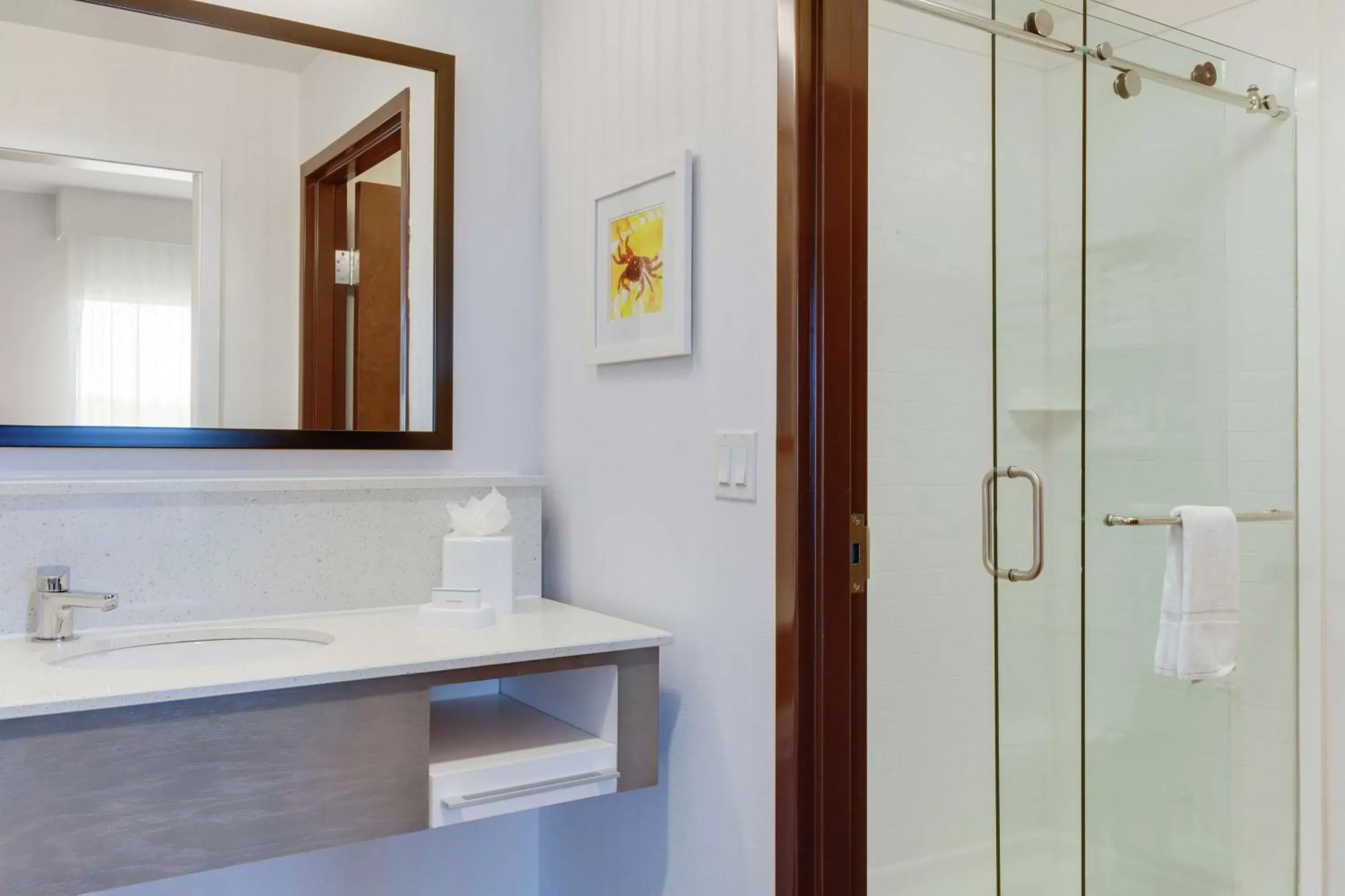 Bathroom in Hampton Inn & Suites - DeLand