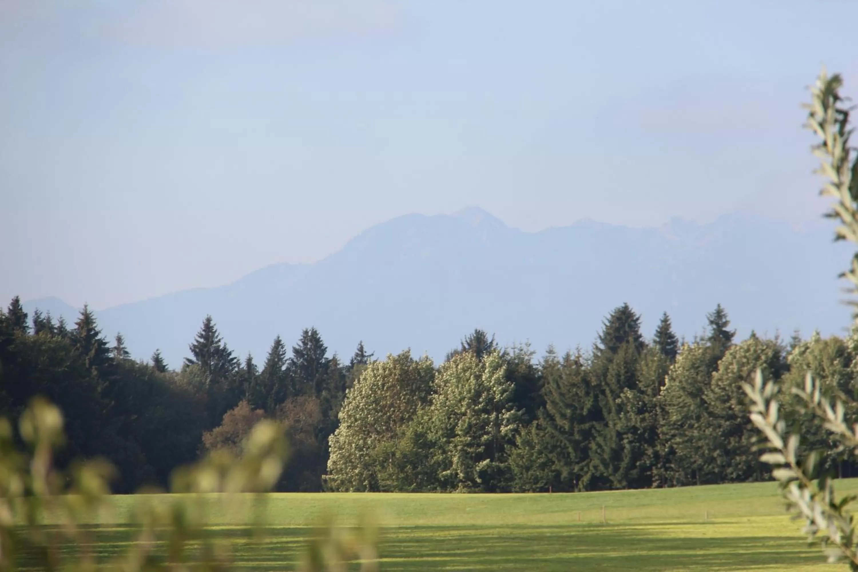 Natural landscape in Hotel Alpenblick