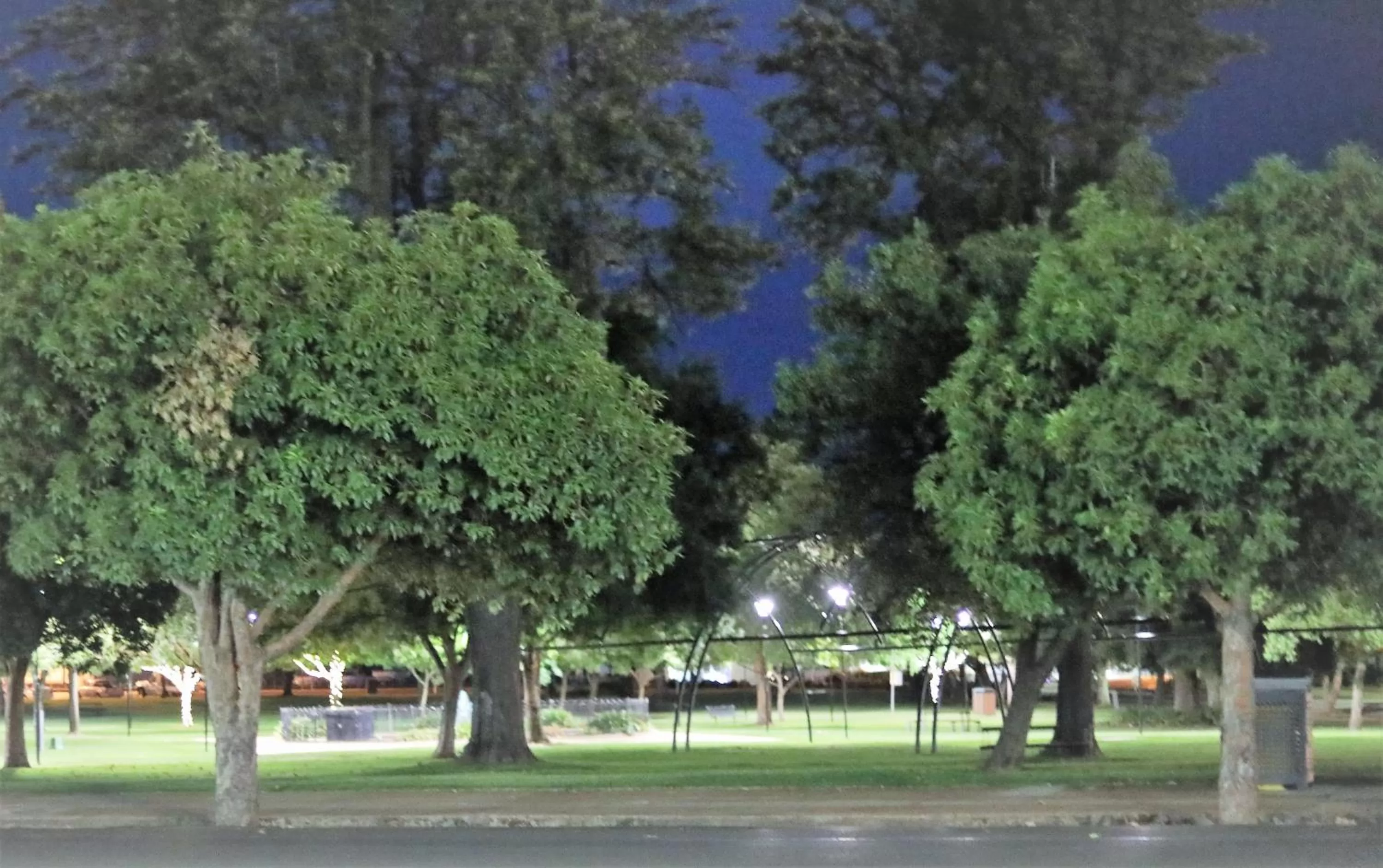 View (from property/room) in All Settlers Motor Inn Parkes