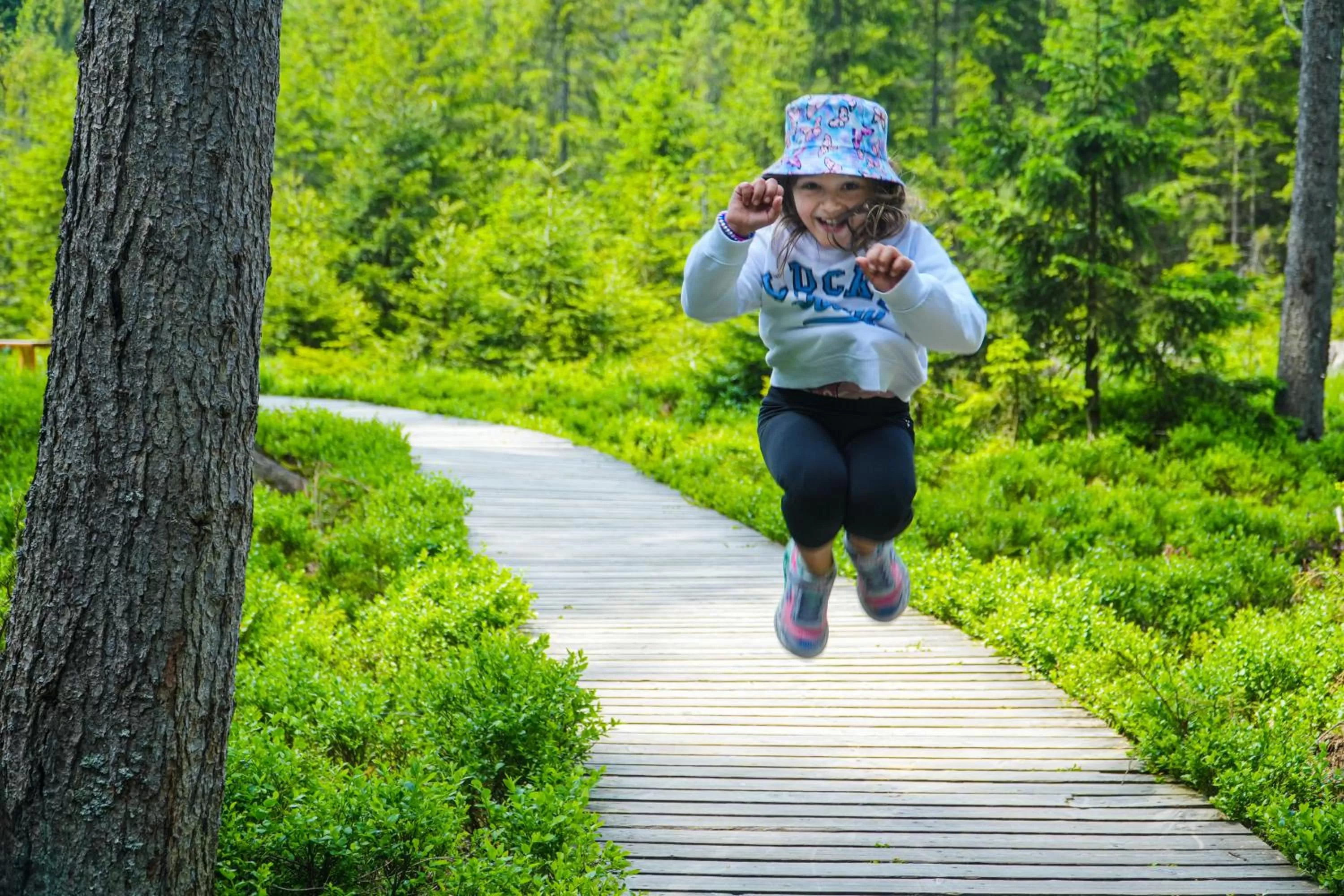 Natural landscape in Ensana Butterfly