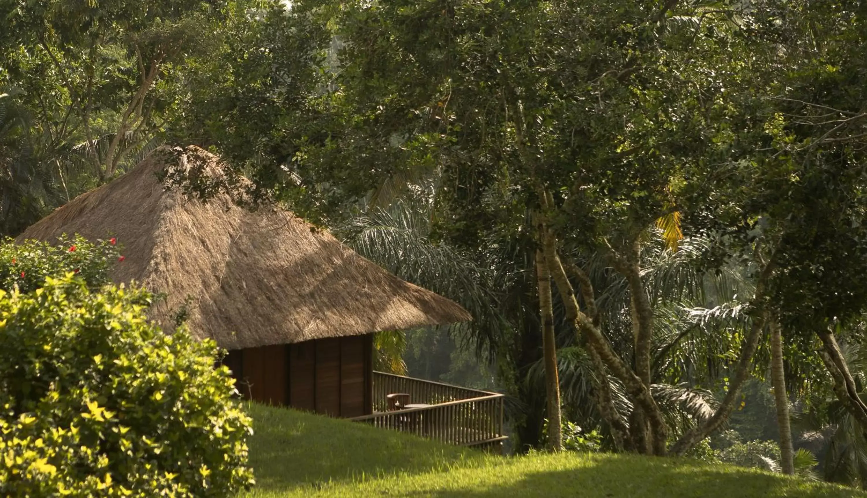 View (from property/room), Property Building in Alila Ubud