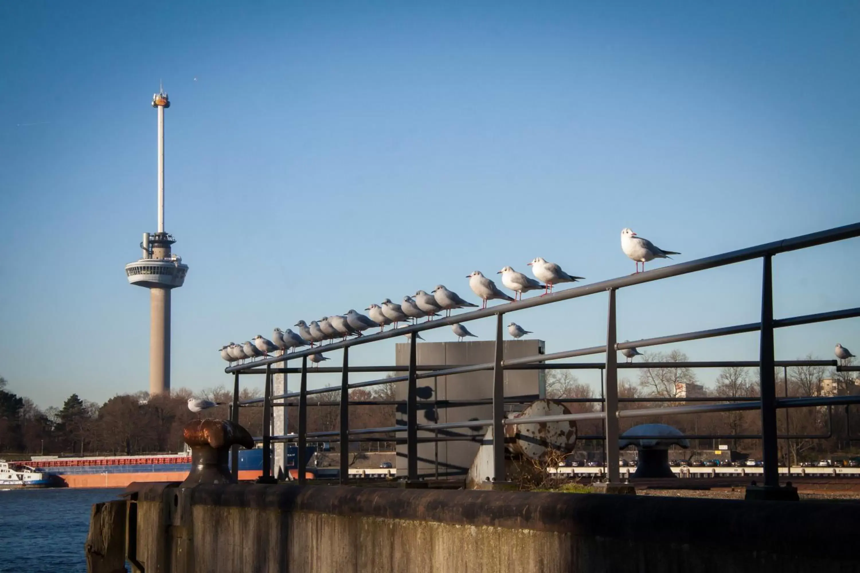 Nearby landmark in Hotel Breitner