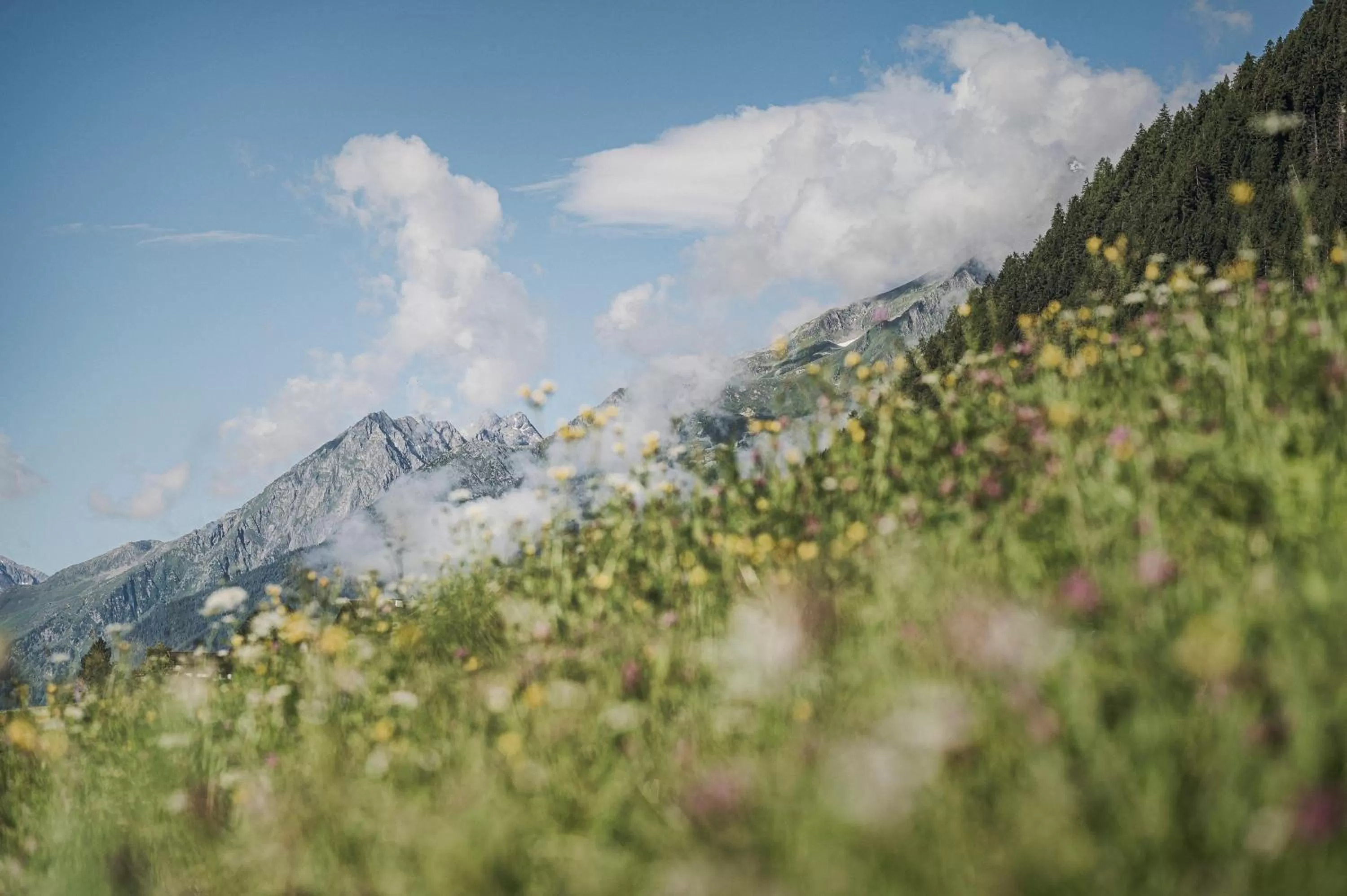Nearby landmark in Biohotel Rastbichlhof