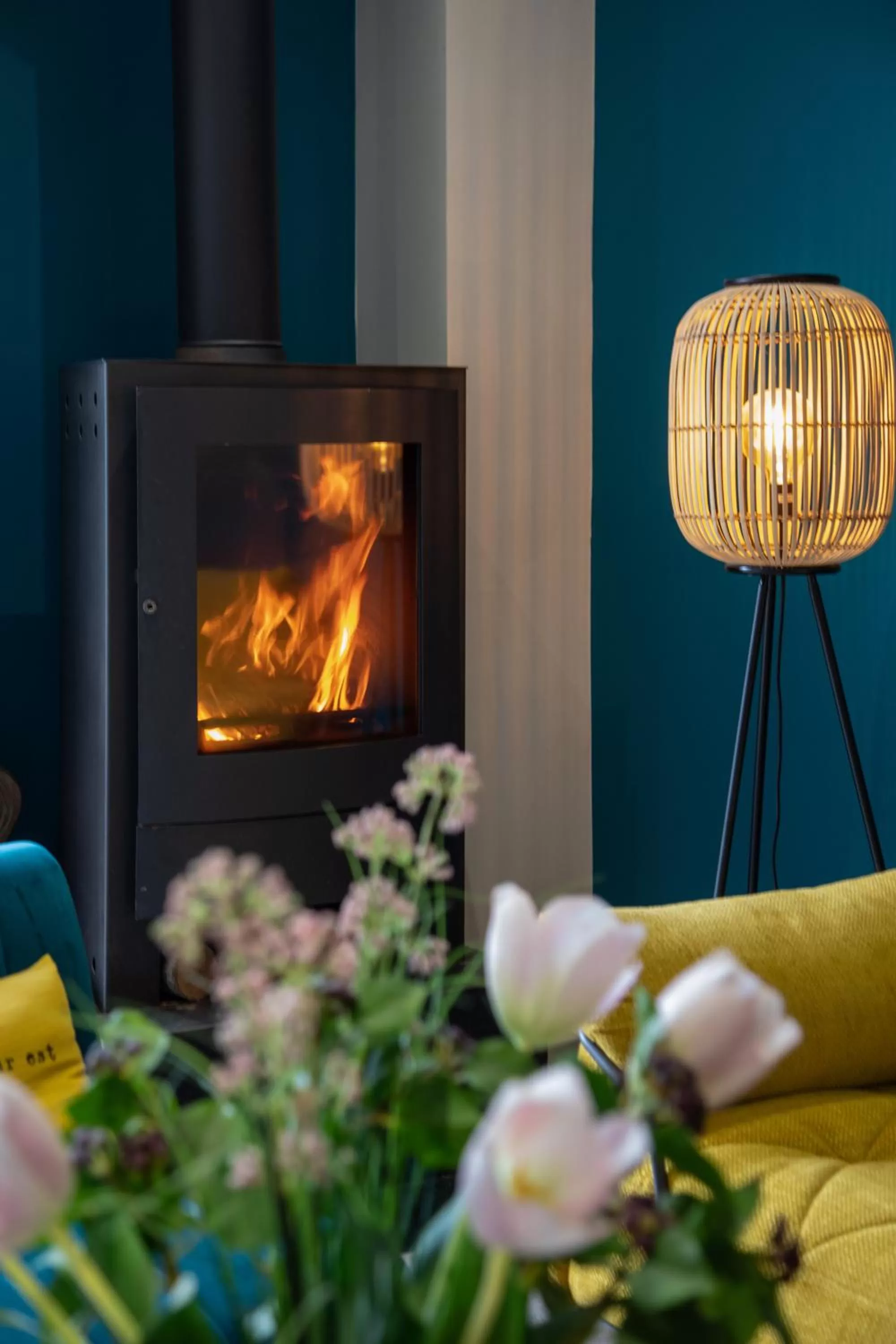 O'Myosotis - 400m Centre Historique - Parking Gratuit - Piscine et Jardin