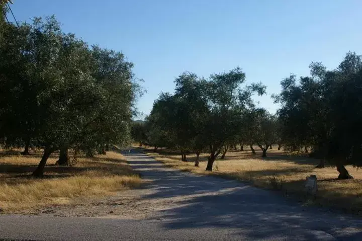 Quinta Laranjal da Arrabida