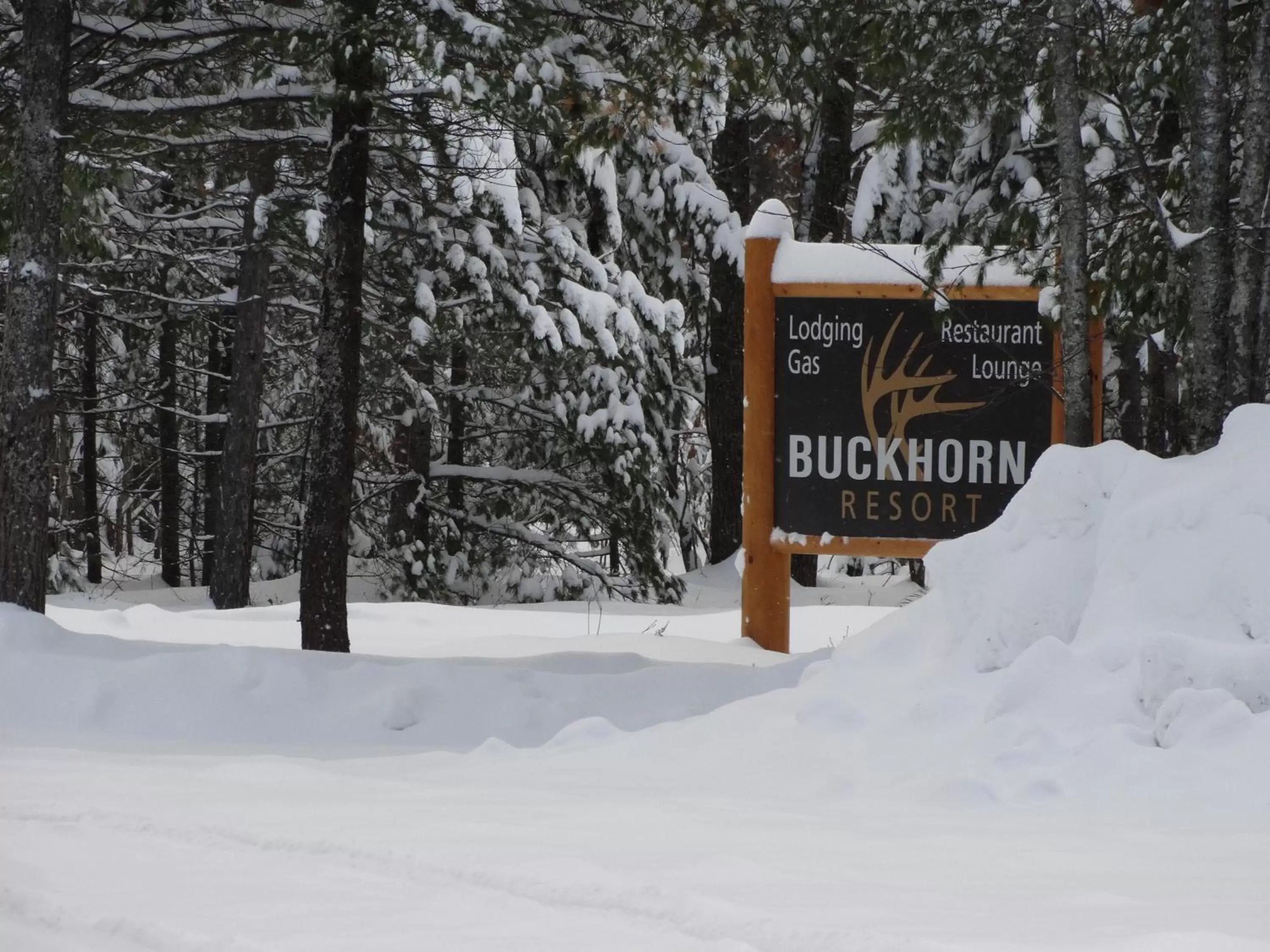 Day, Winter in Buckhorn Resort