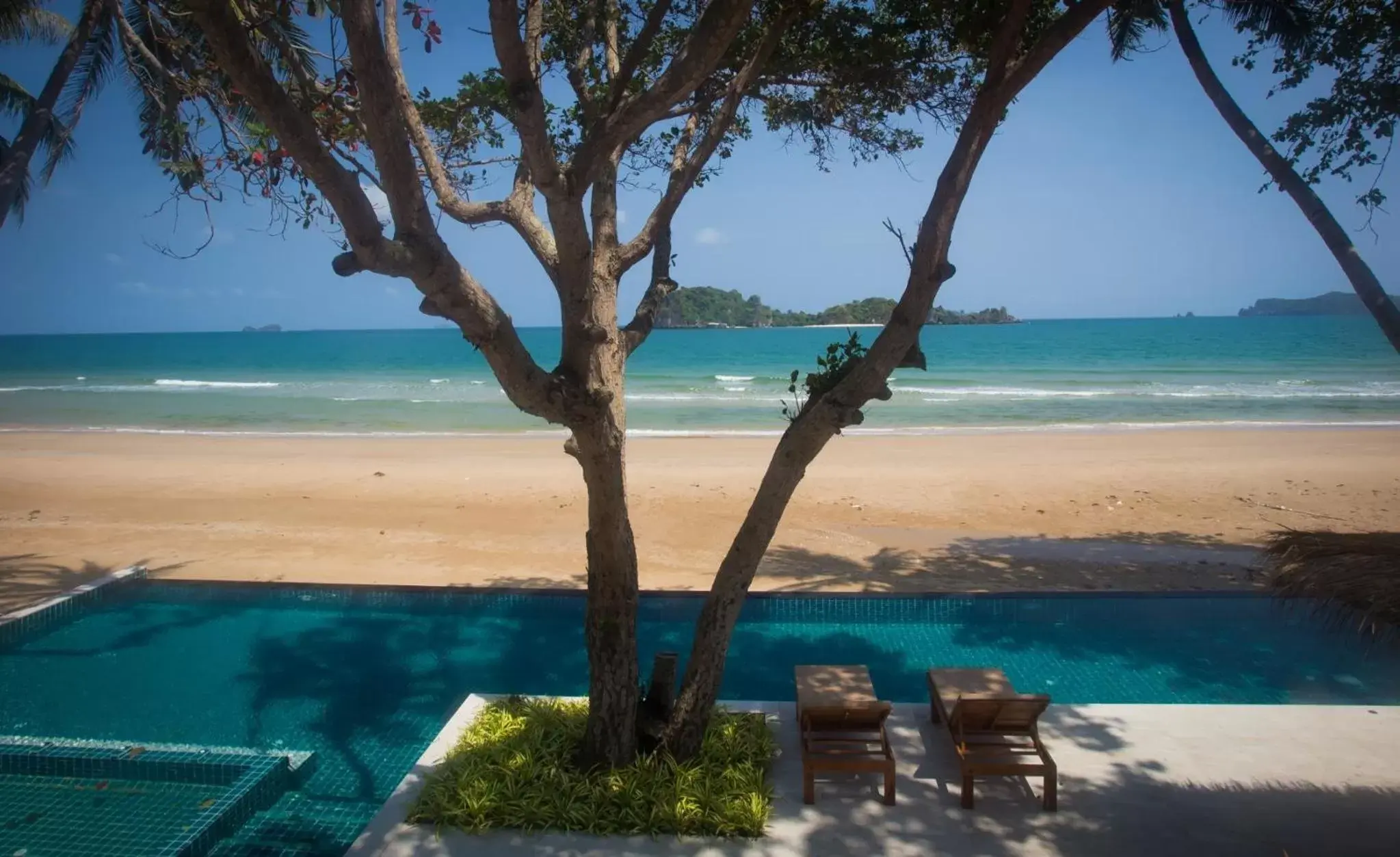 Swimming pool, Beach in The Nest Private Beach Resort