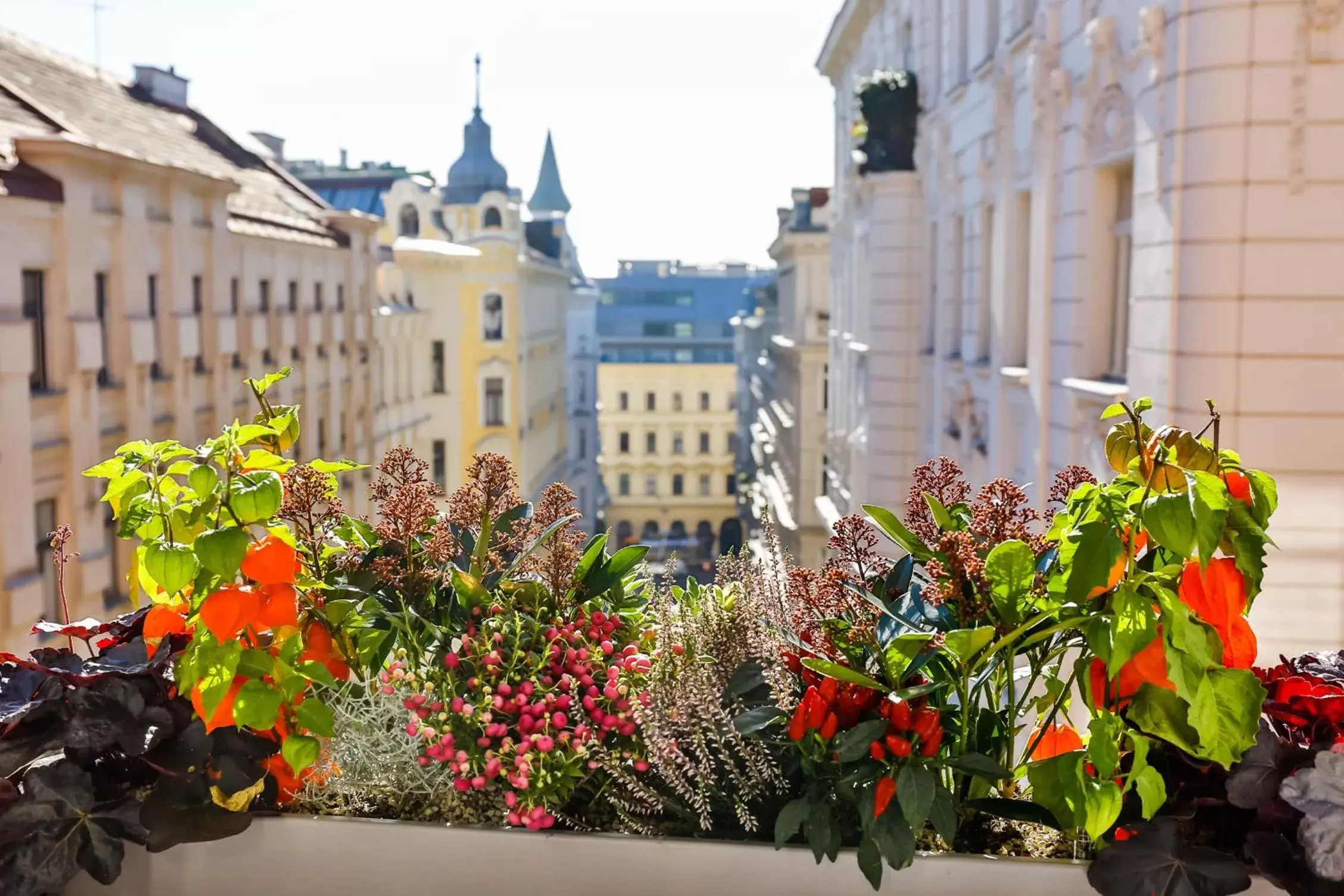 Neighbourhood in Boutiquehotel Das Tyrol