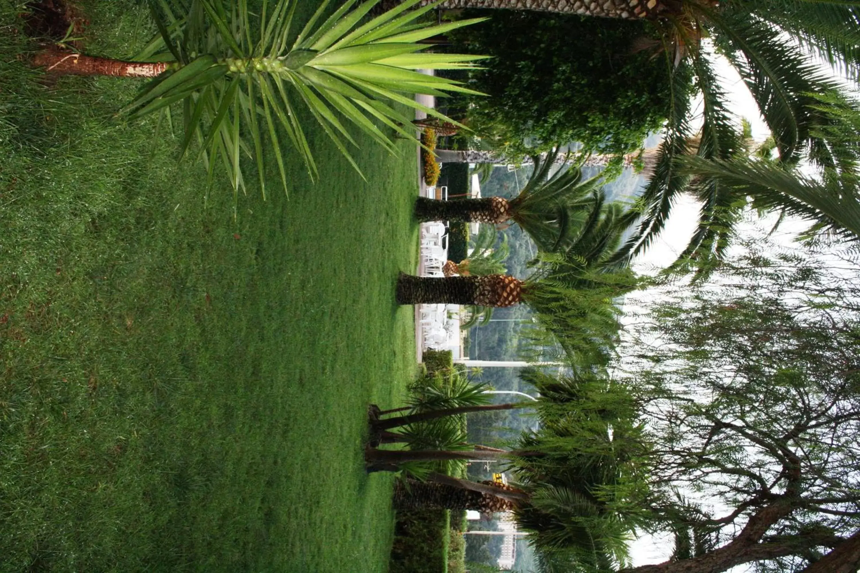 Day, Garden in Hotel Marinella