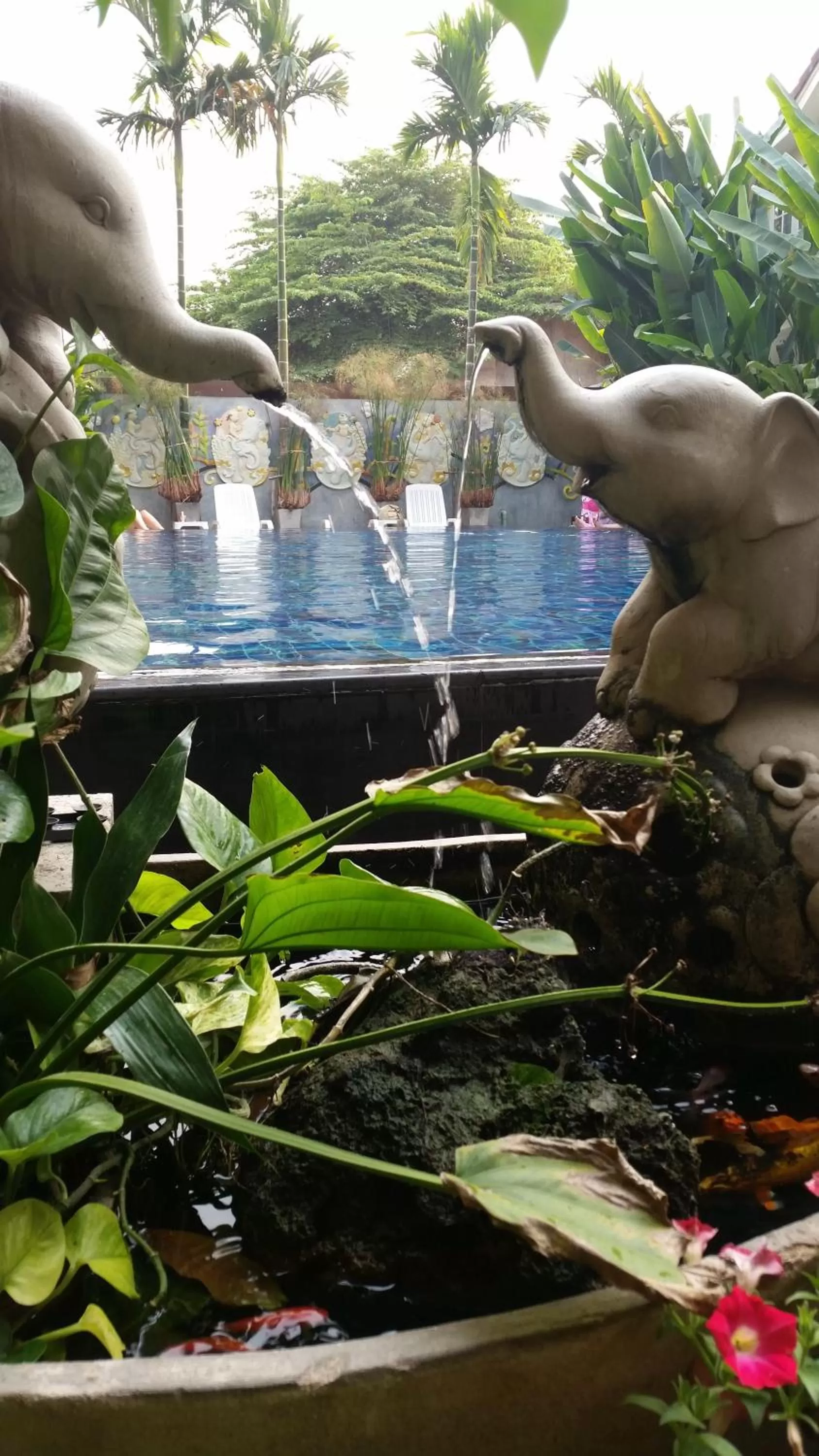 Bird's eye view in BB Mantra Boutique Hotel