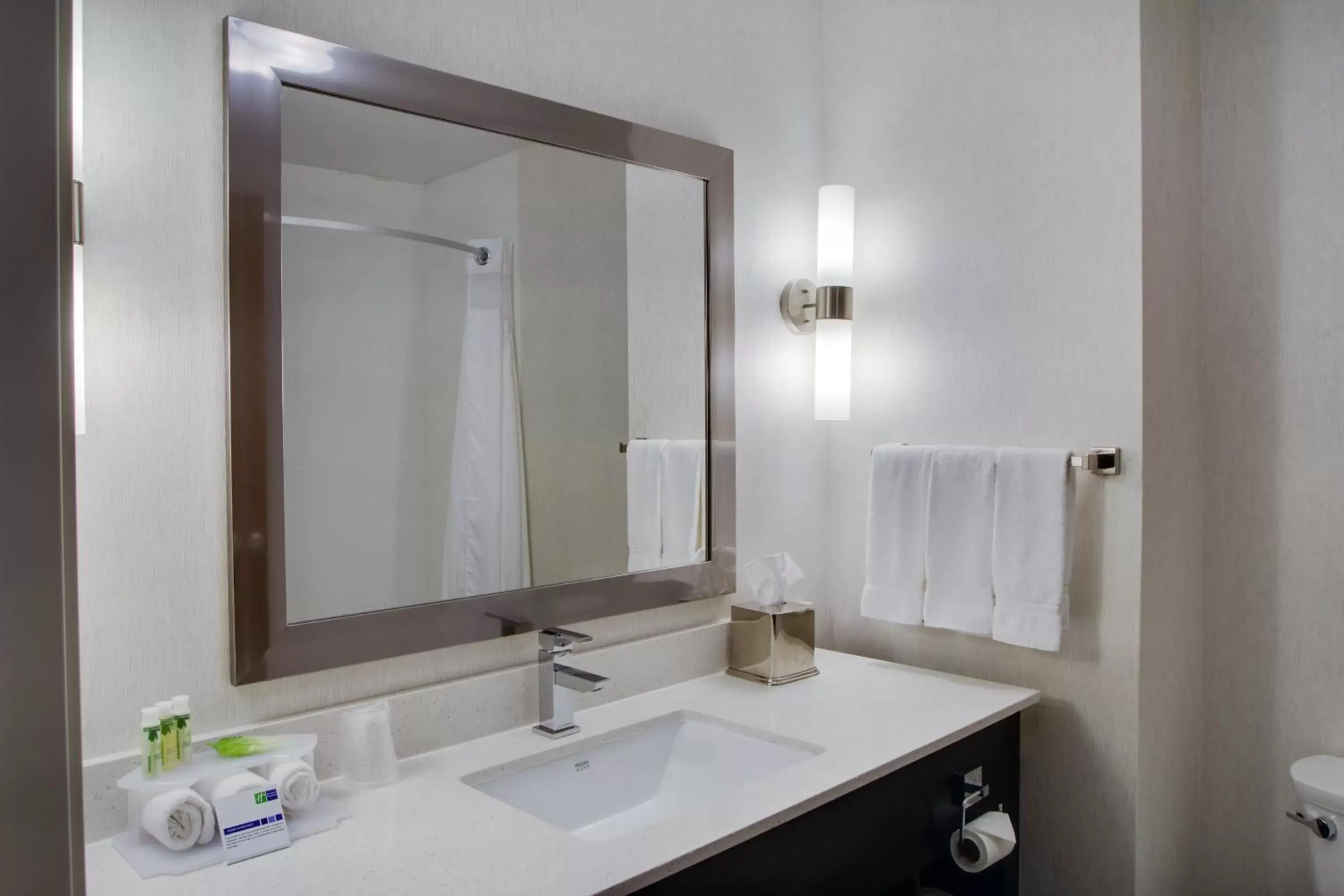 Photo of the whole room, Bathroom in Holiday Inn Express Sidney, an IHG Hotel