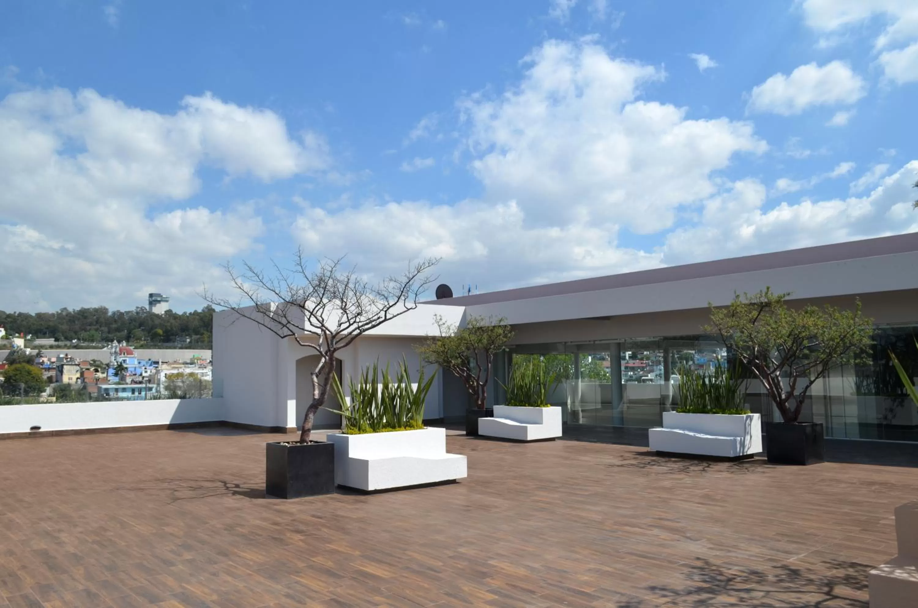 Balcony/Terrace in Hotel 5 de Mayo
