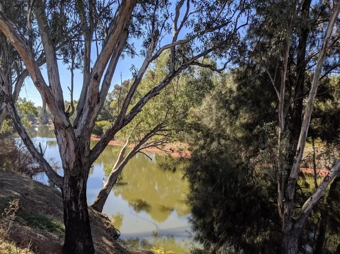 River view, Natural Landscape in Tallarook Motor Inn