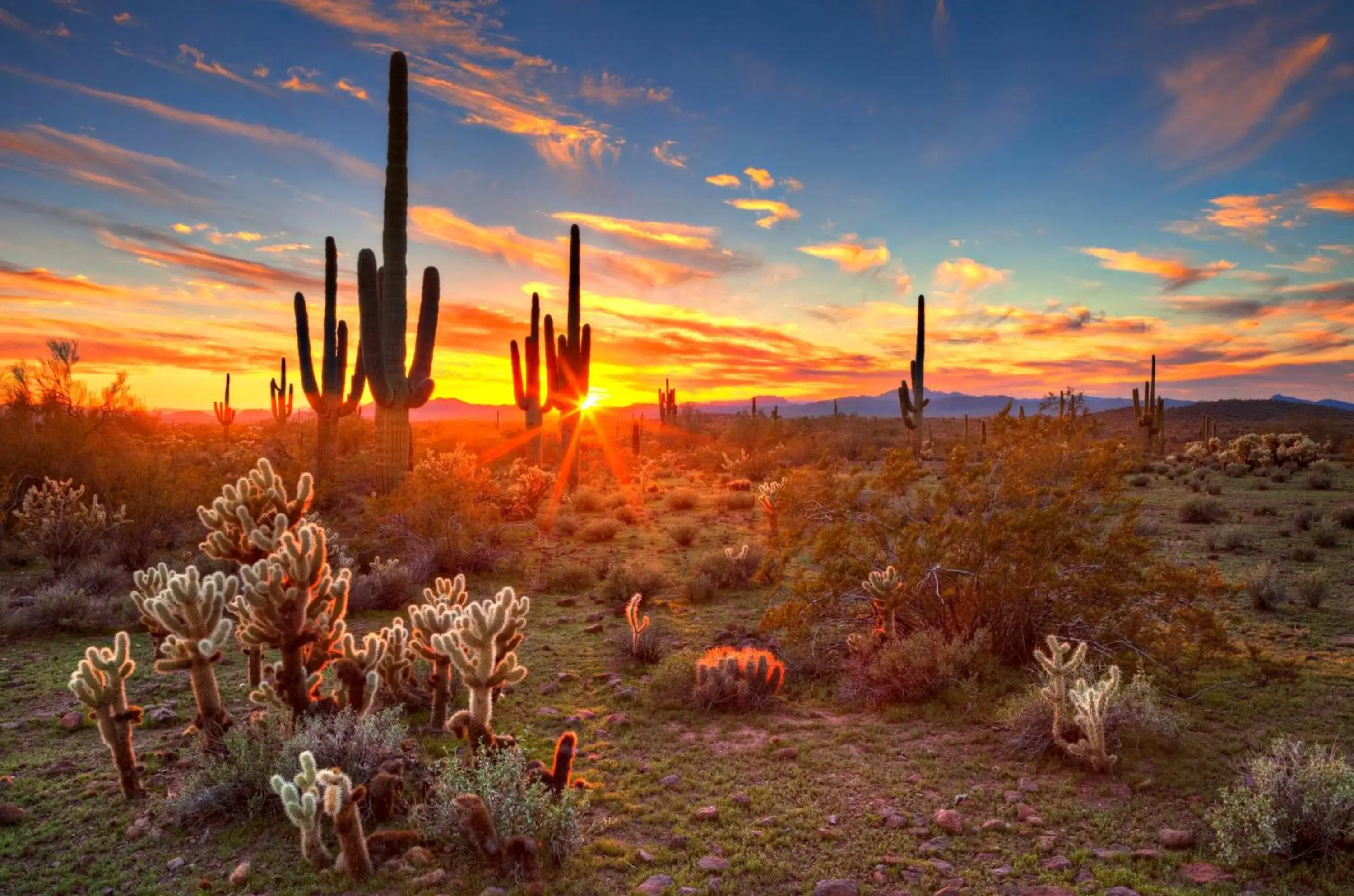 Nearby landmark, Sunrise/Sunset in Holiday Inn Express Hotel & Suites Scottsdale - Old Town, an IHG Hotel