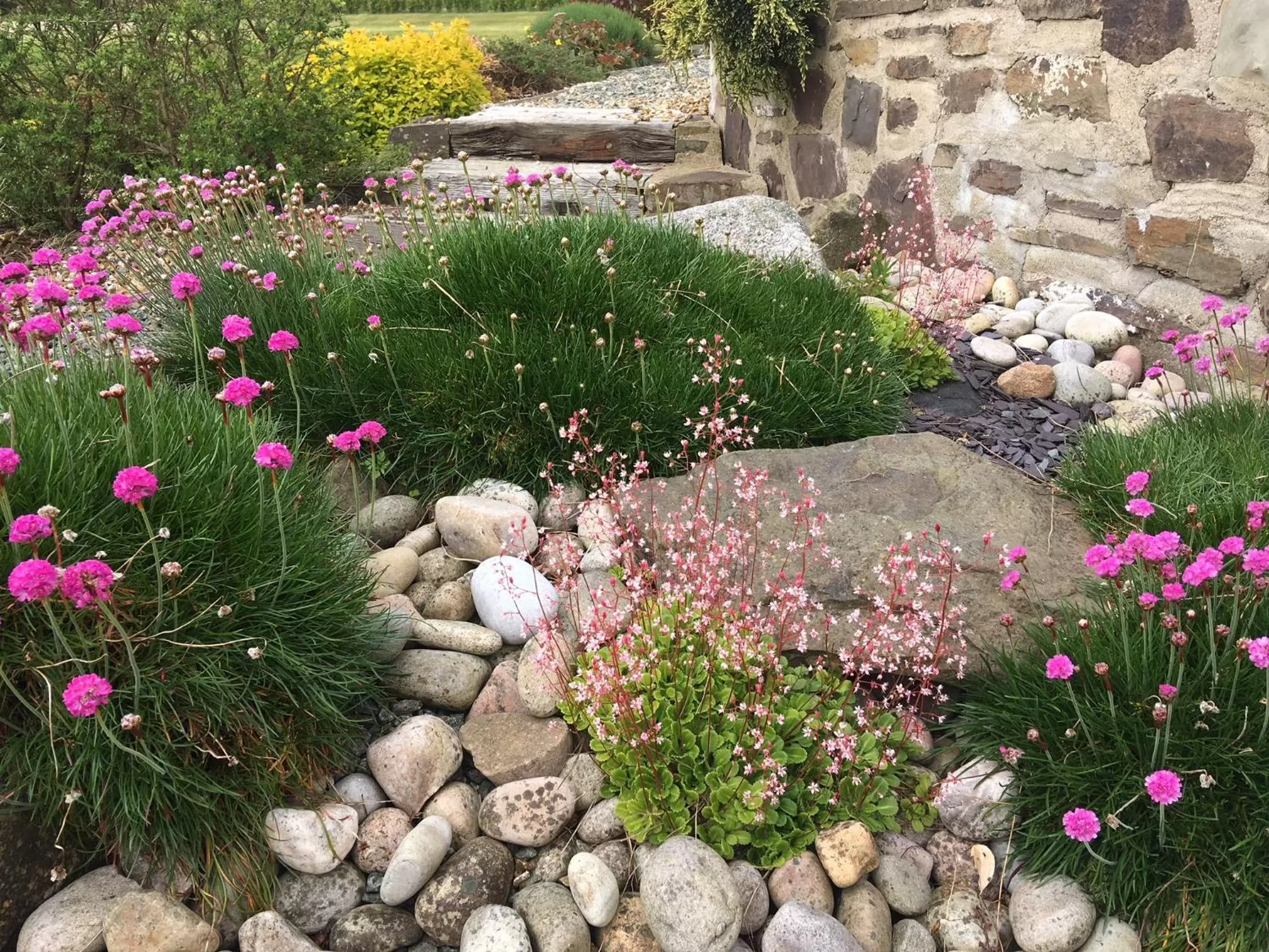 Garden in Beggars Reach Hotel