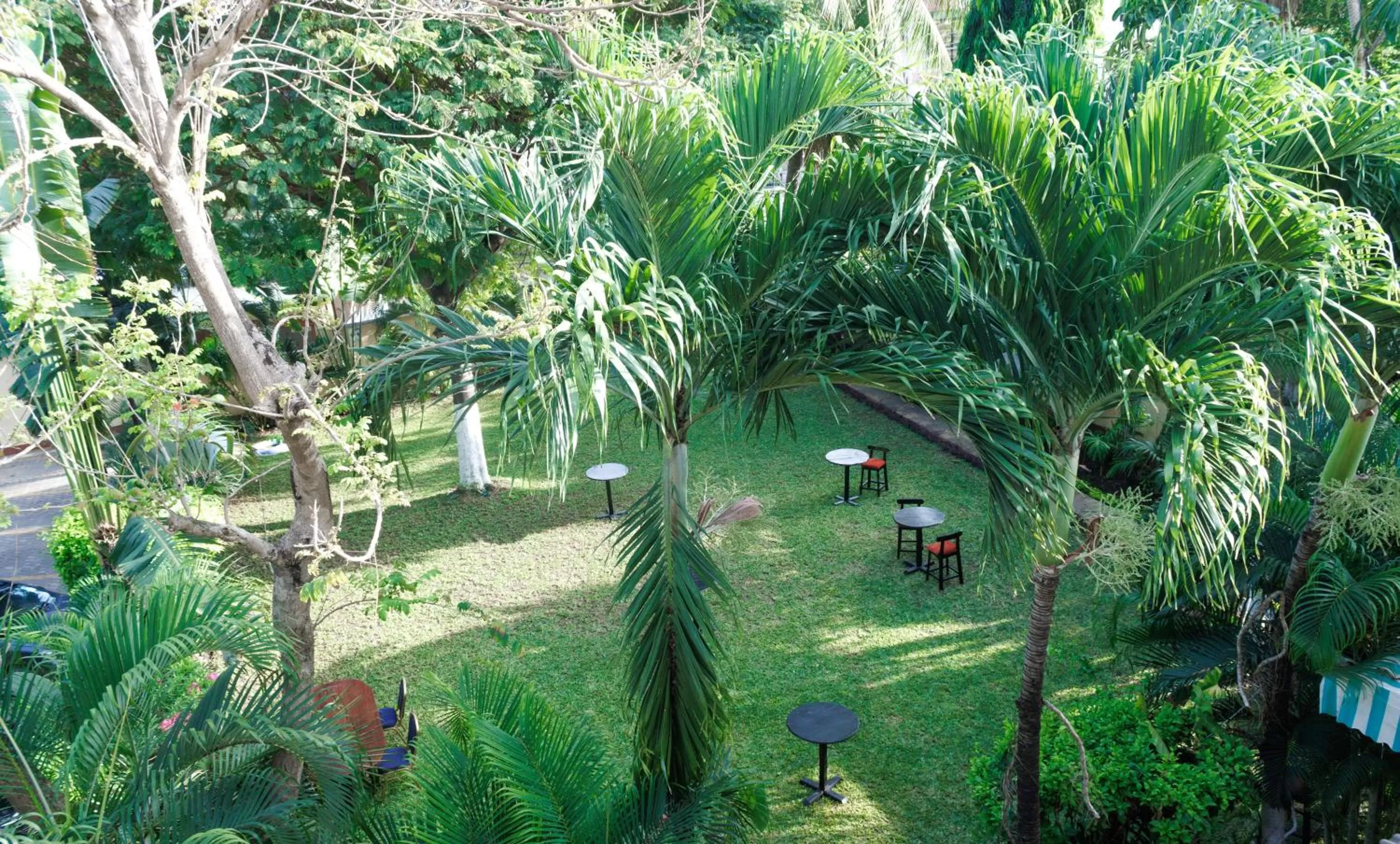 Restaurant/places to eat, Garden in La Fattoria Resort