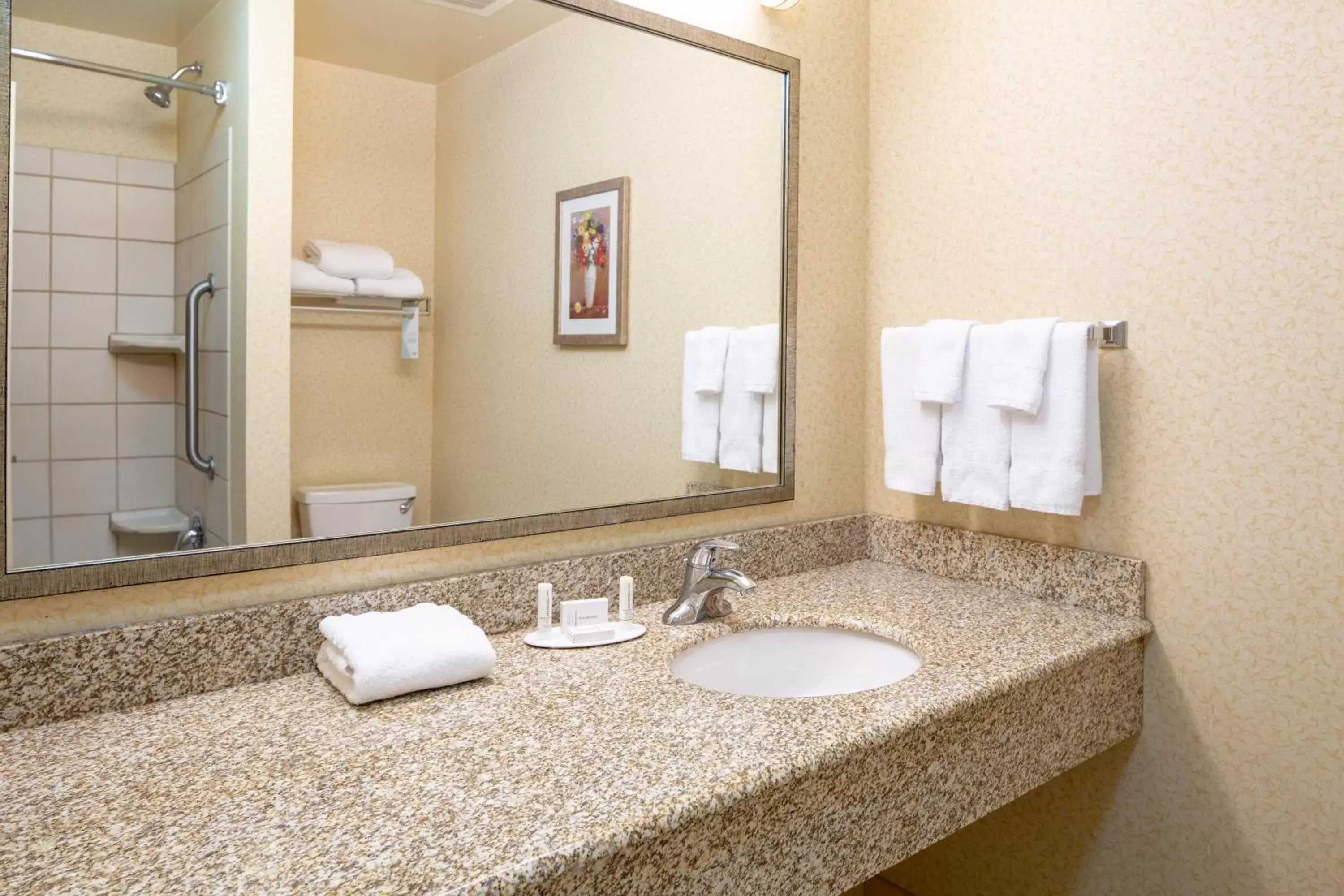 Bathroom in Fairfield Inn and Suites by Marriott South Boston