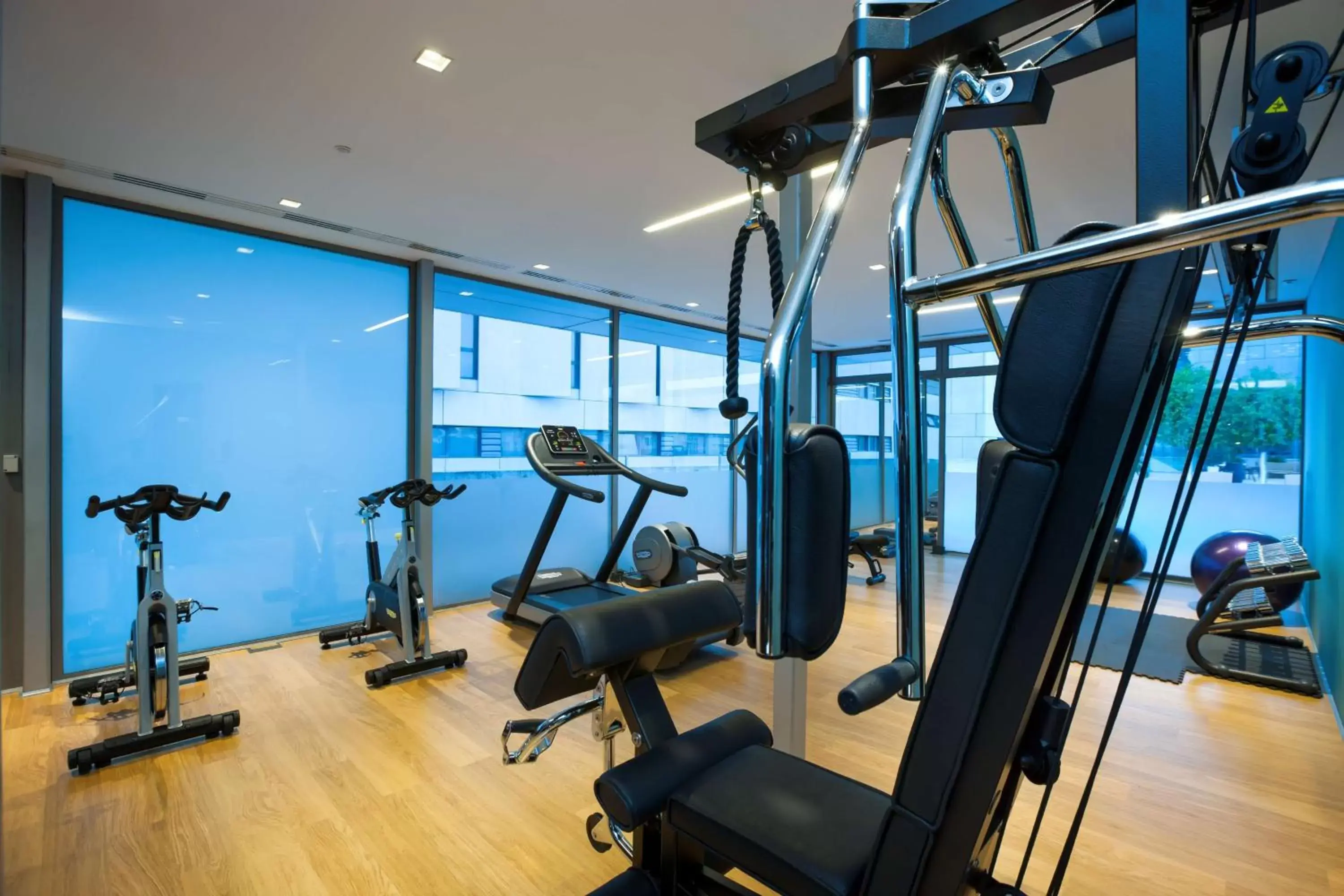 Fitness centre/facilities, Fitness Center/Facilities in NH Collection Sevilla