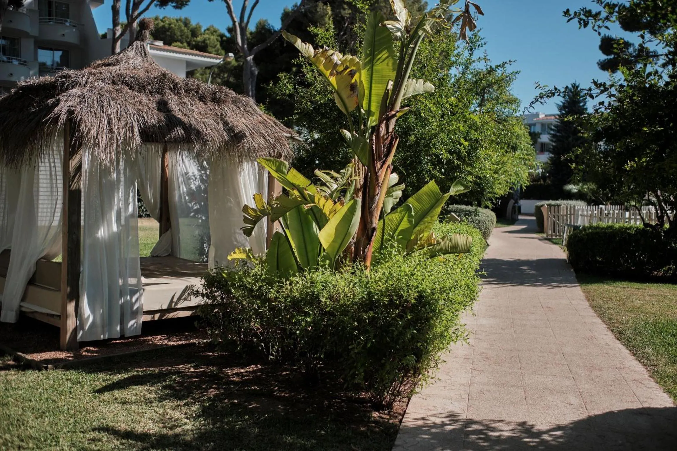 Garden in Prinsotel La Pineda