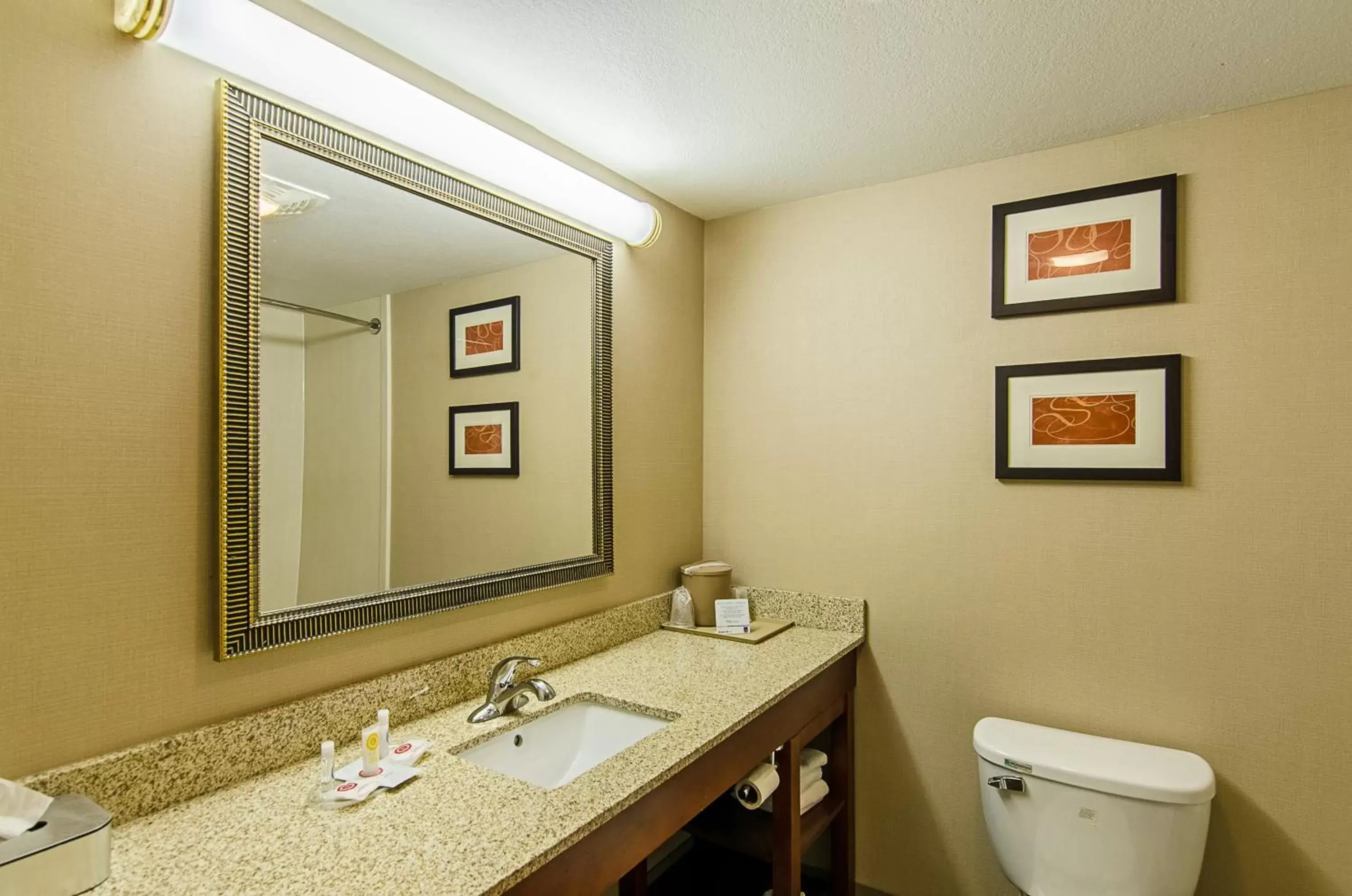 Bathroom in Comfort Suites Wytheville near Conference Center Bathroom in Comfort Suites Wytheville near Conference Center