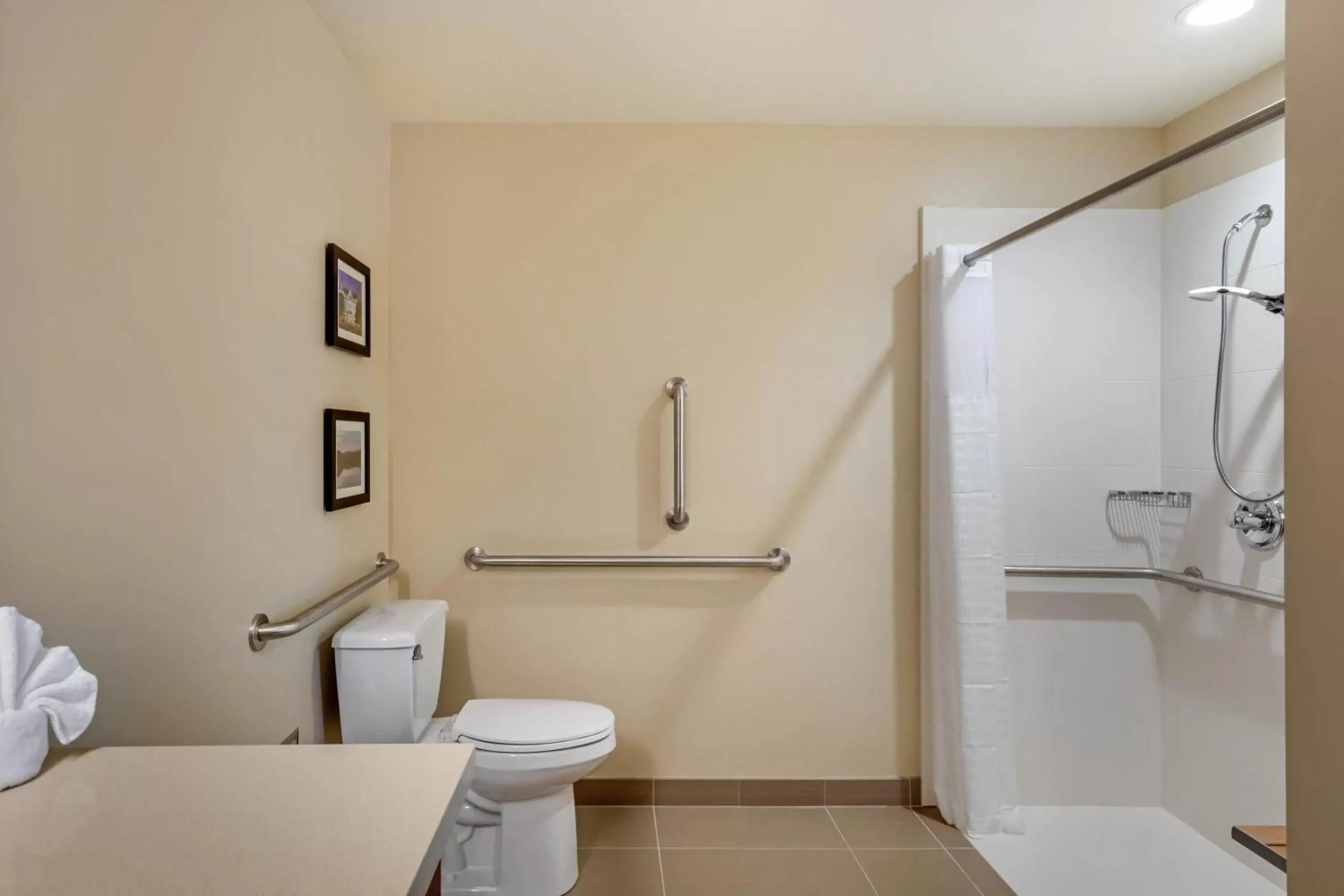 Shower, Bathroom in Comfort Inn & Suites Schenectady - Scotia