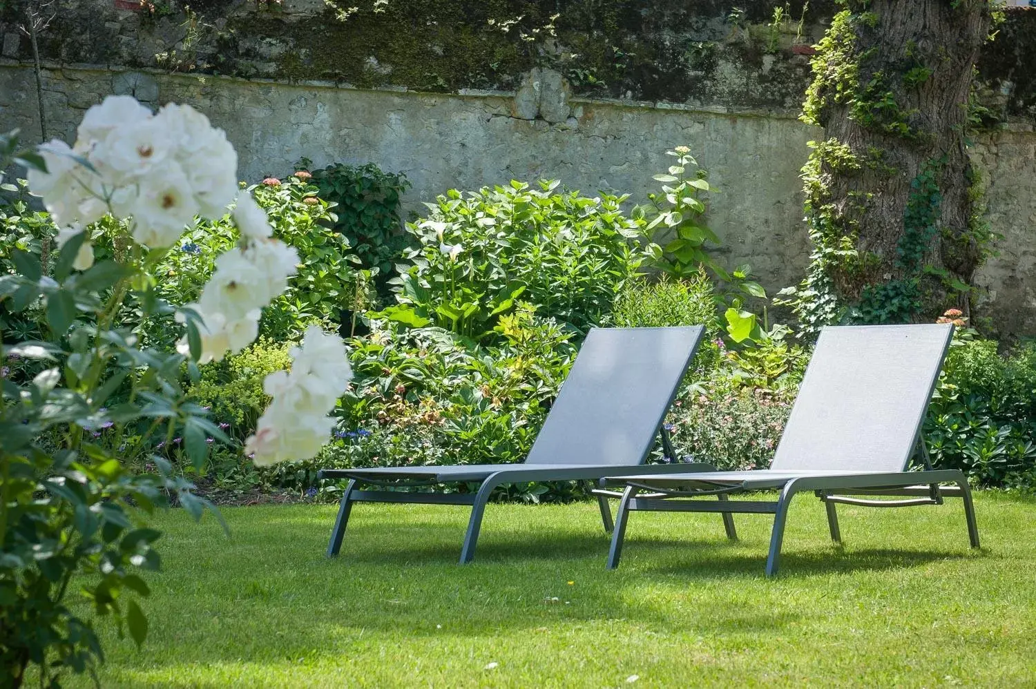 Garden in Le Petit Matin