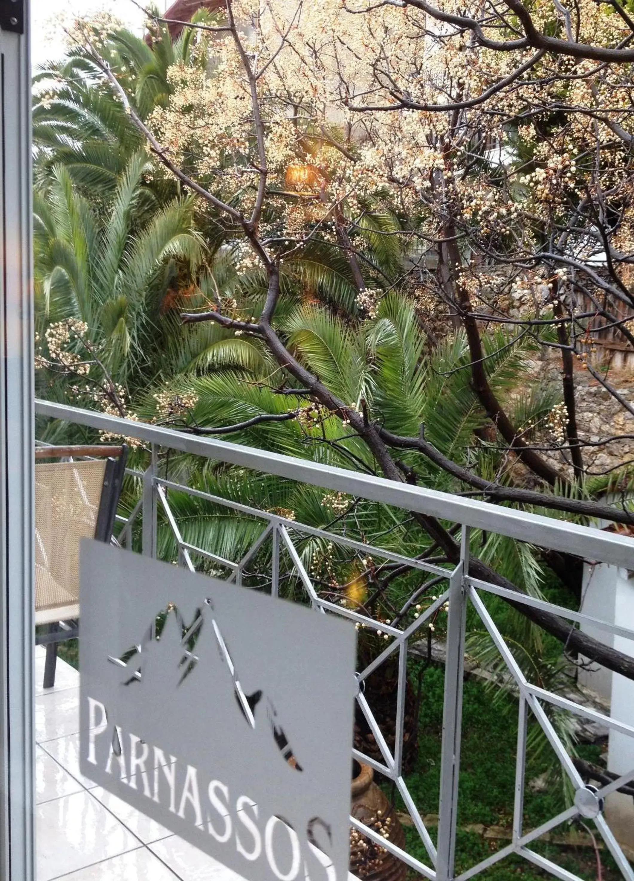 Garden view in Parnassos Delphi Hotel