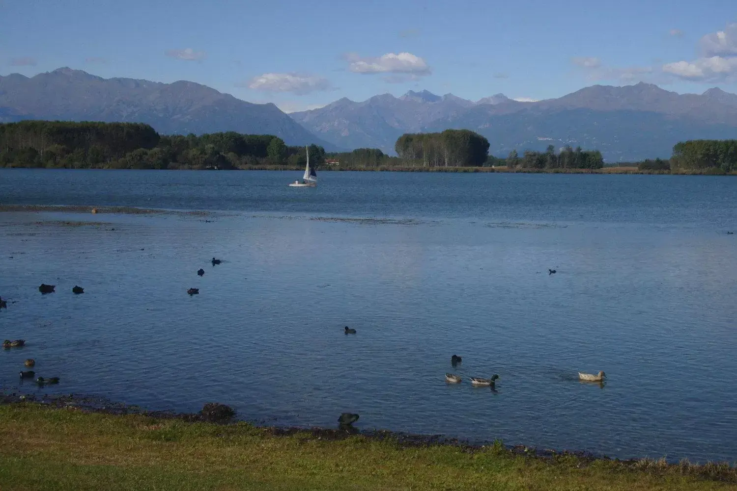 Fishing in Residenza Del Lago