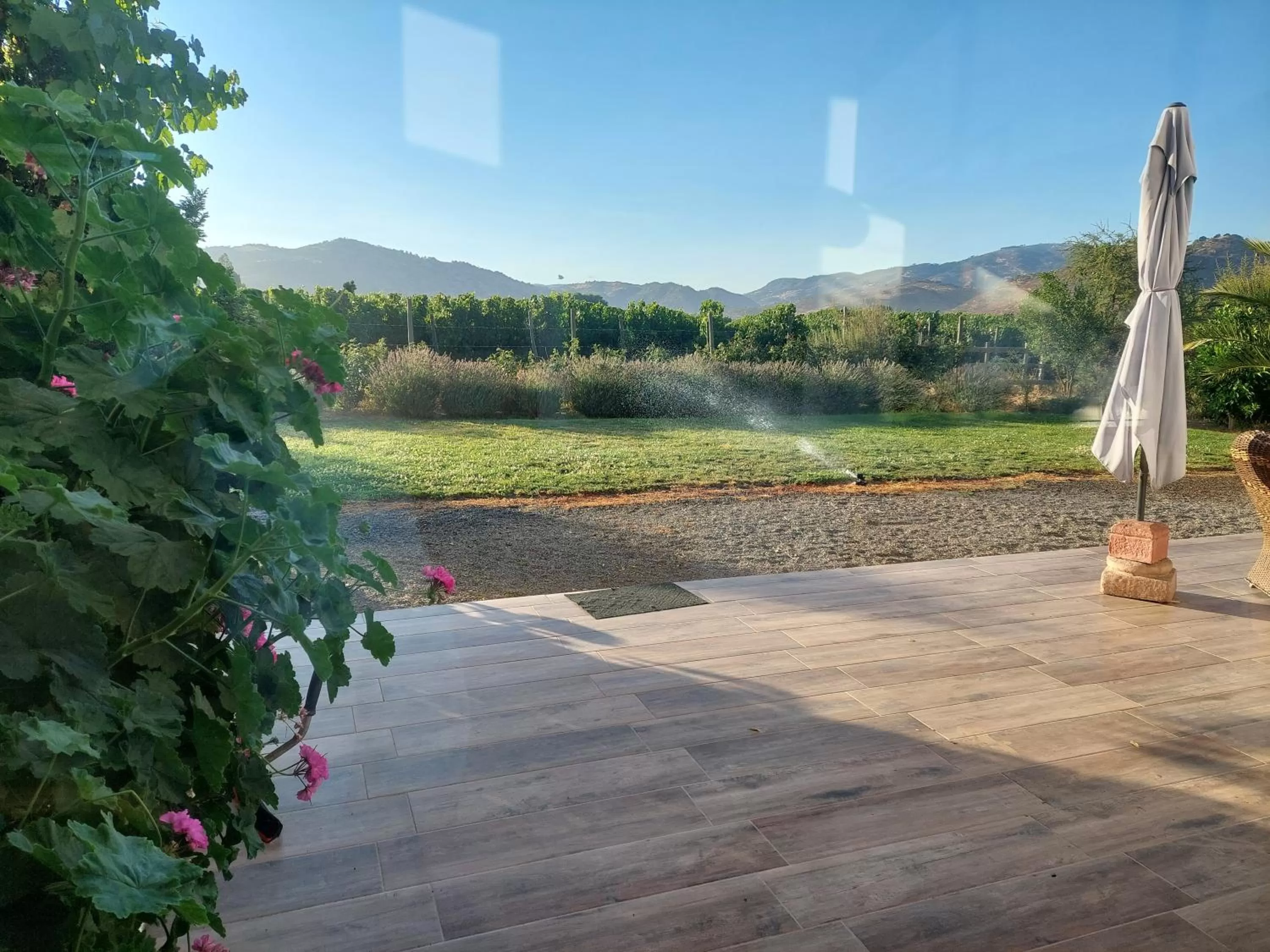 Natural landscape in Callihue Lodge