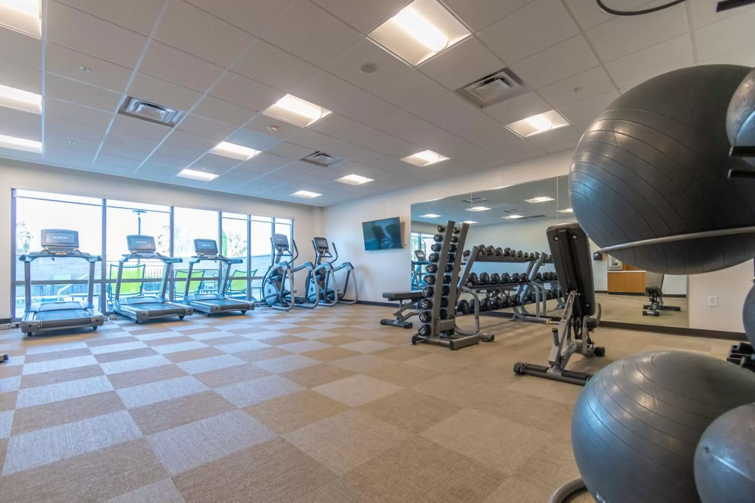 Fitness centre/facilities, Fitness Center/Facilities in SpringHill Suites by Marriott Tampa Suncoast Parkway