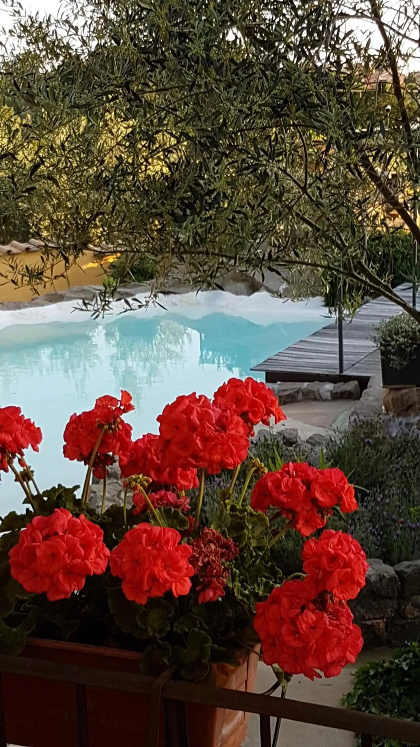 Pool view, Swimming Pool in Piccolo Feudo Green Resort