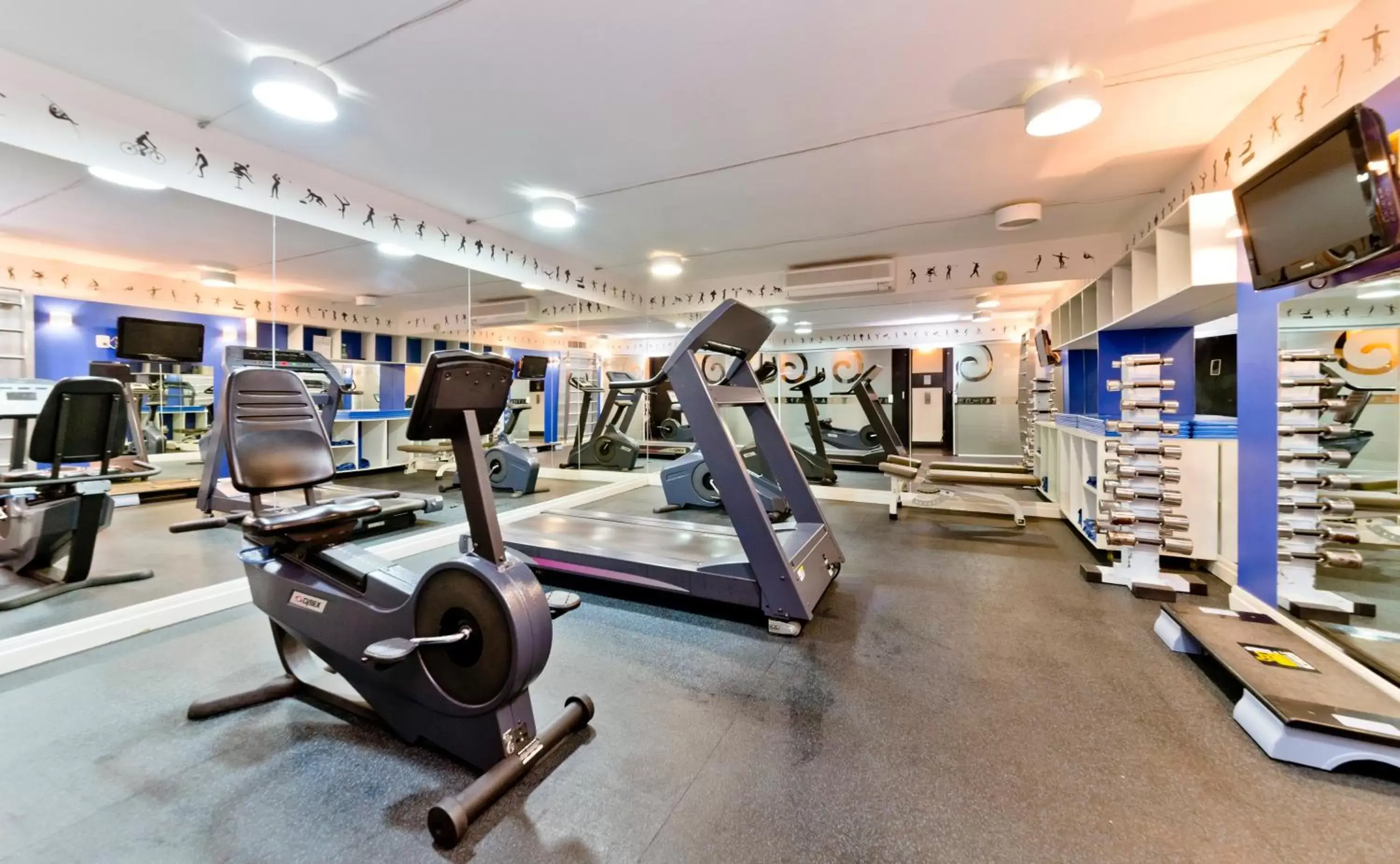 Fitness centre/facilities, Fitness Center/Facilities in Pergamon SP Frei Caneca by Accor