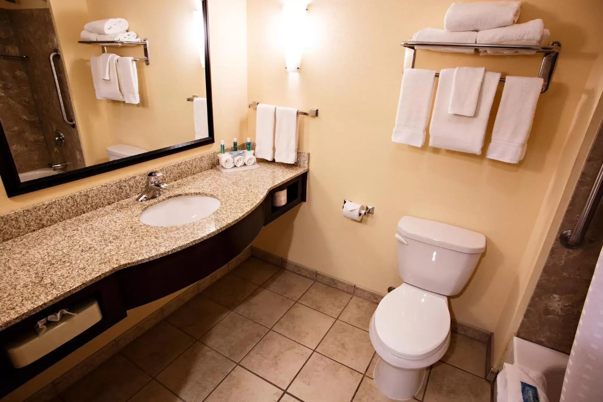 Bathroom in Holiday Inn Express Harrisburg West, an IHG Hotel