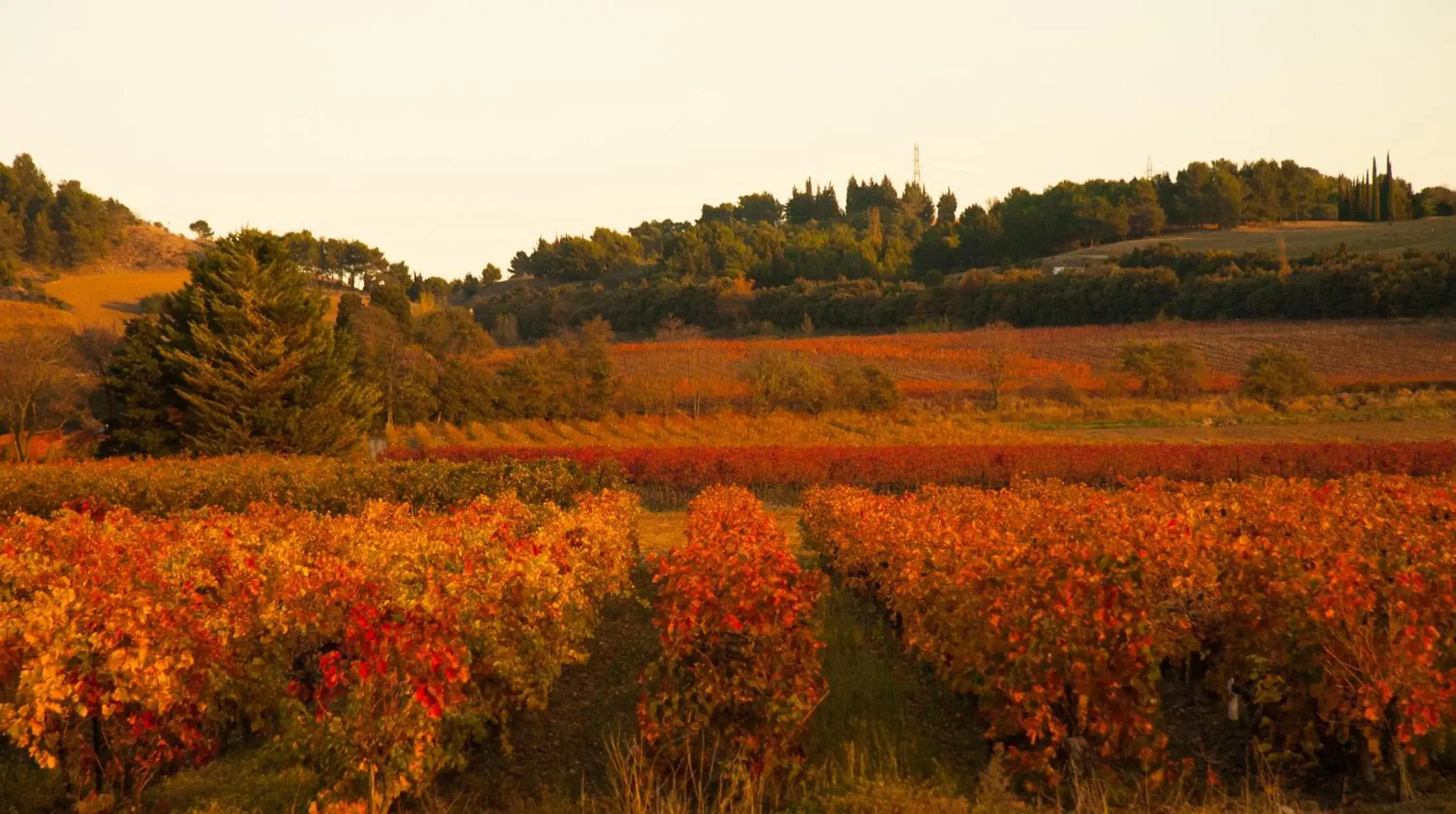 Natural Landscape in B&B-Les Balcons de Maragon