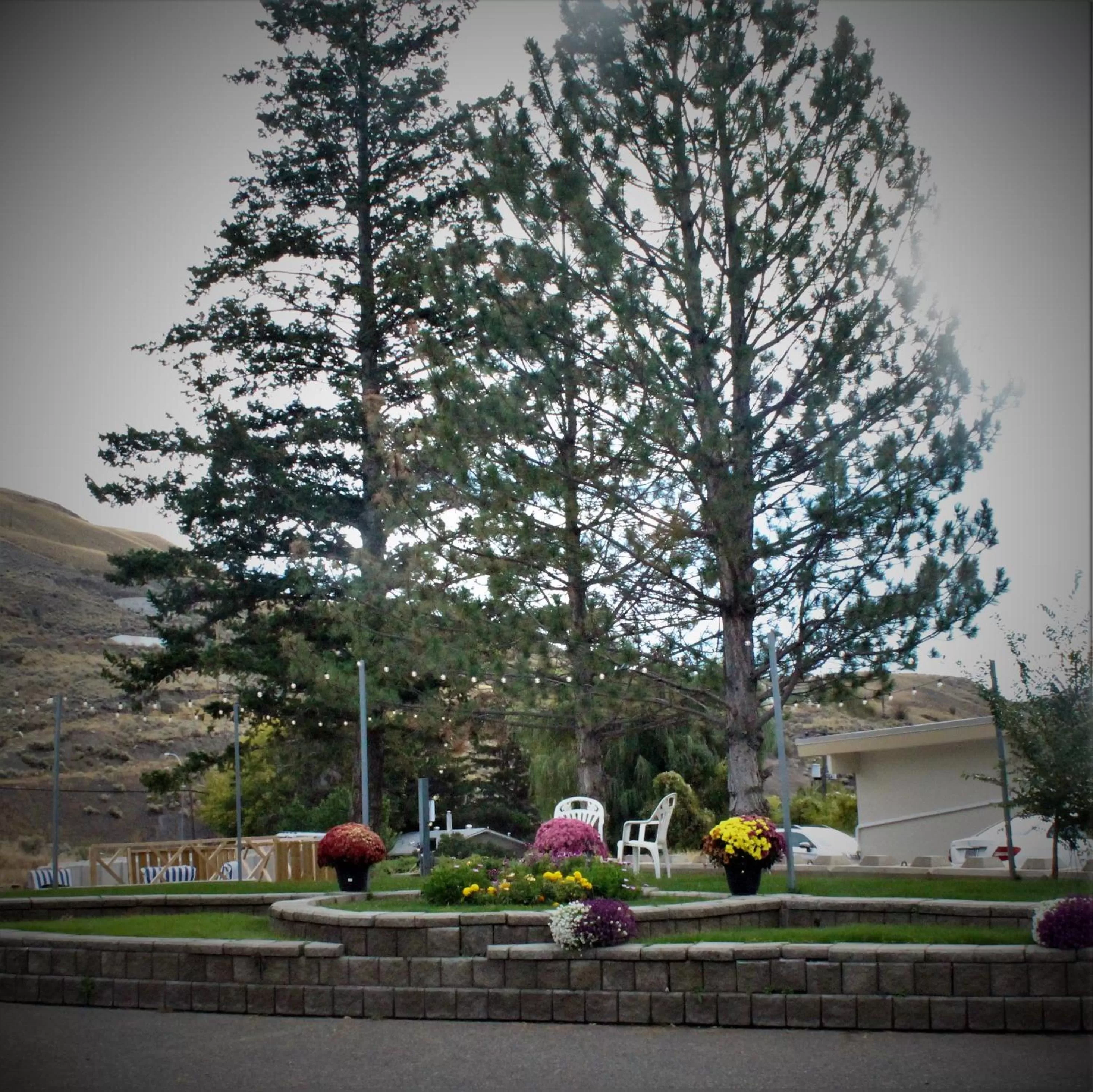 Property building in Canada's Best Value Desert Inn & Suites