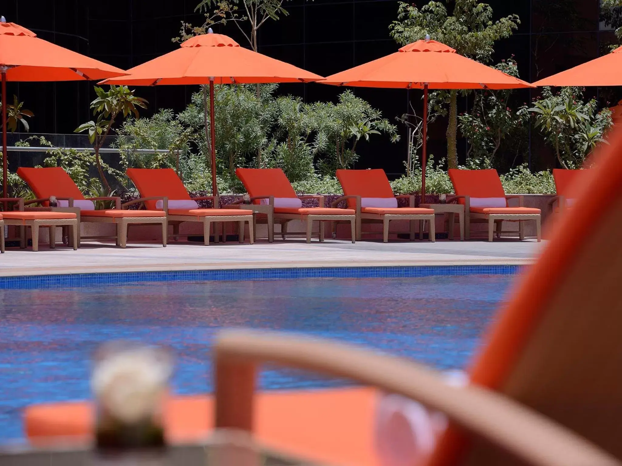 Swimming pool in Voco - Riyadh by IHG Swimming pool in Voco - Riyadh by IHG