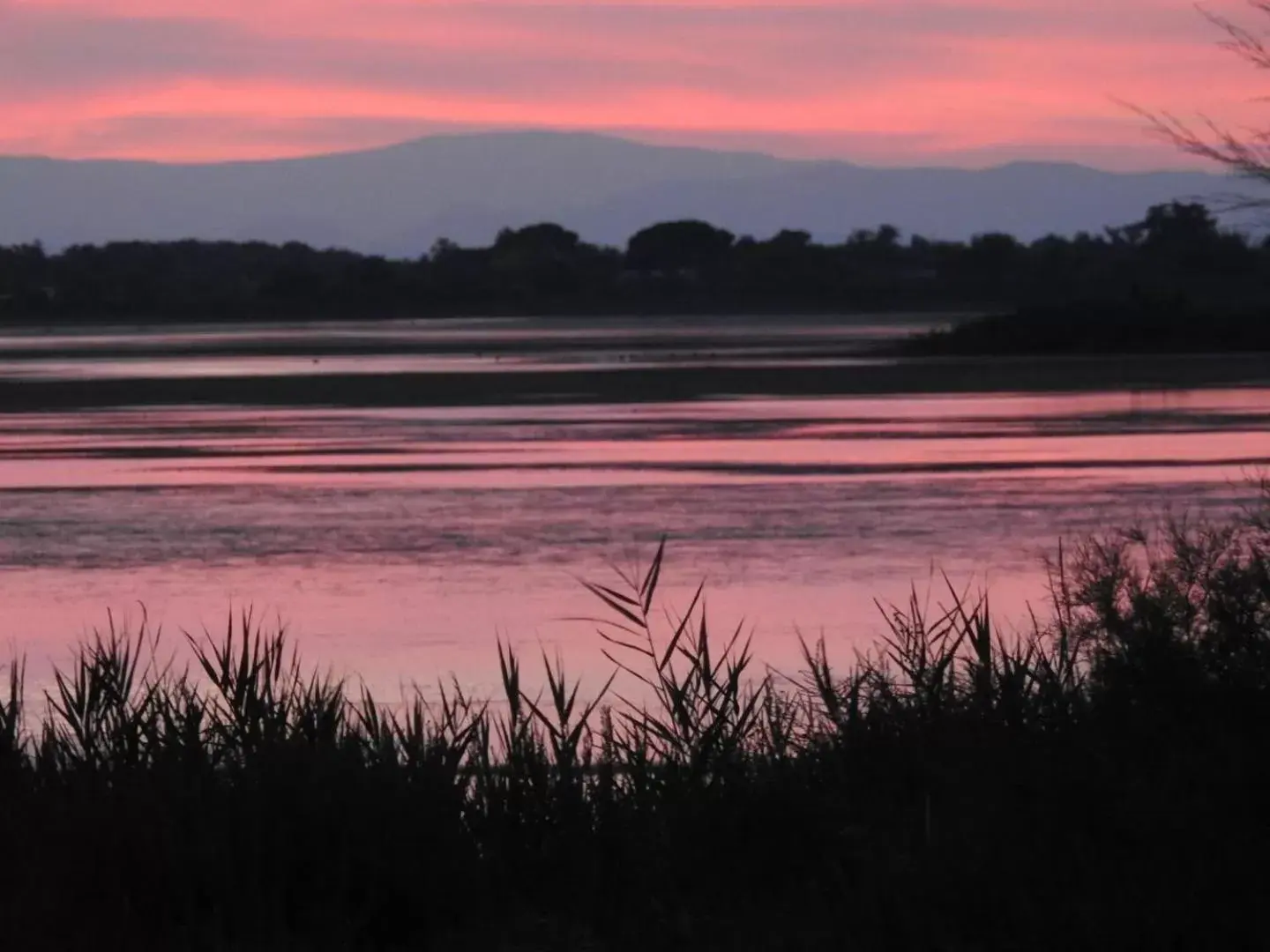 Natural landscape, Sunrise/Sunset in Hotel Les Palmiers En Camargue