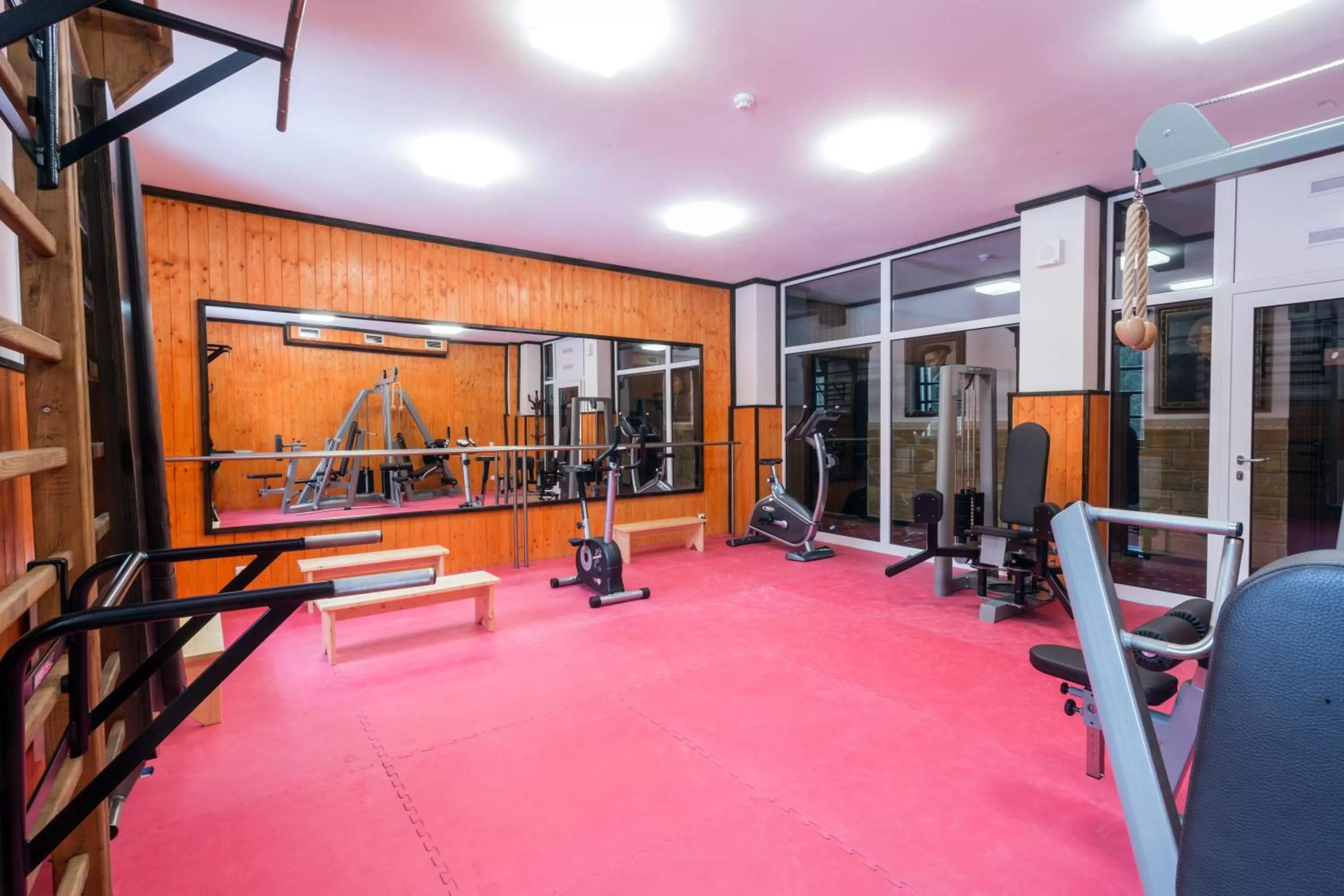 Fitness centre/facilities in Zámek Lužec Spa & Wellness Resort