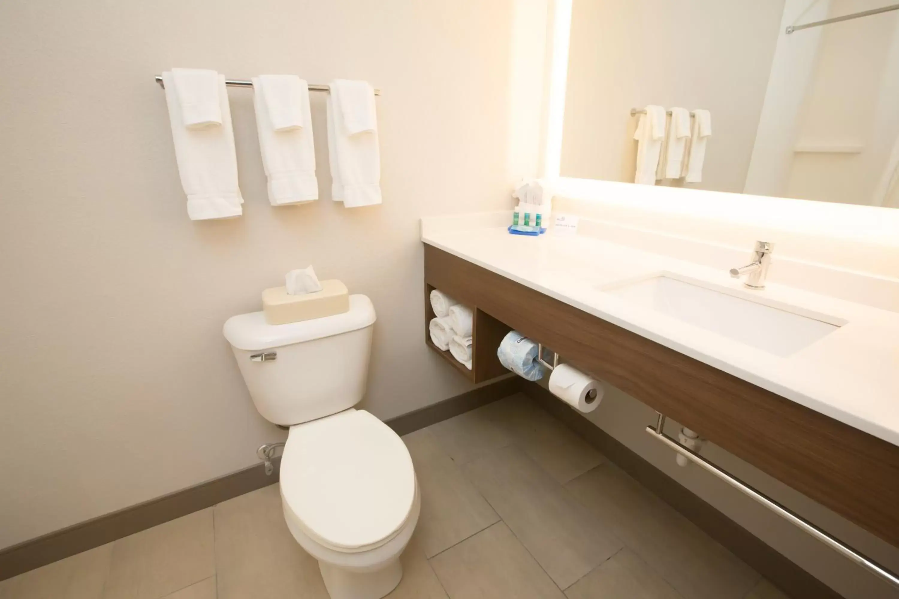 Bathroom in Holiday Inn Express Hotel & Suites Madison, an IHG Hotel