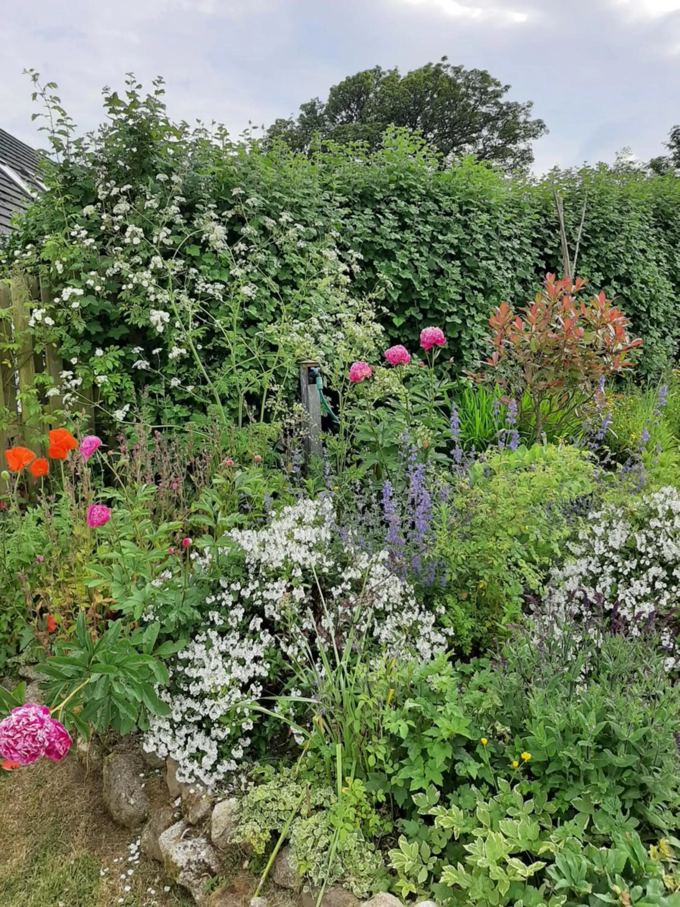 Garden view in Abhainn Ri Farmhouse